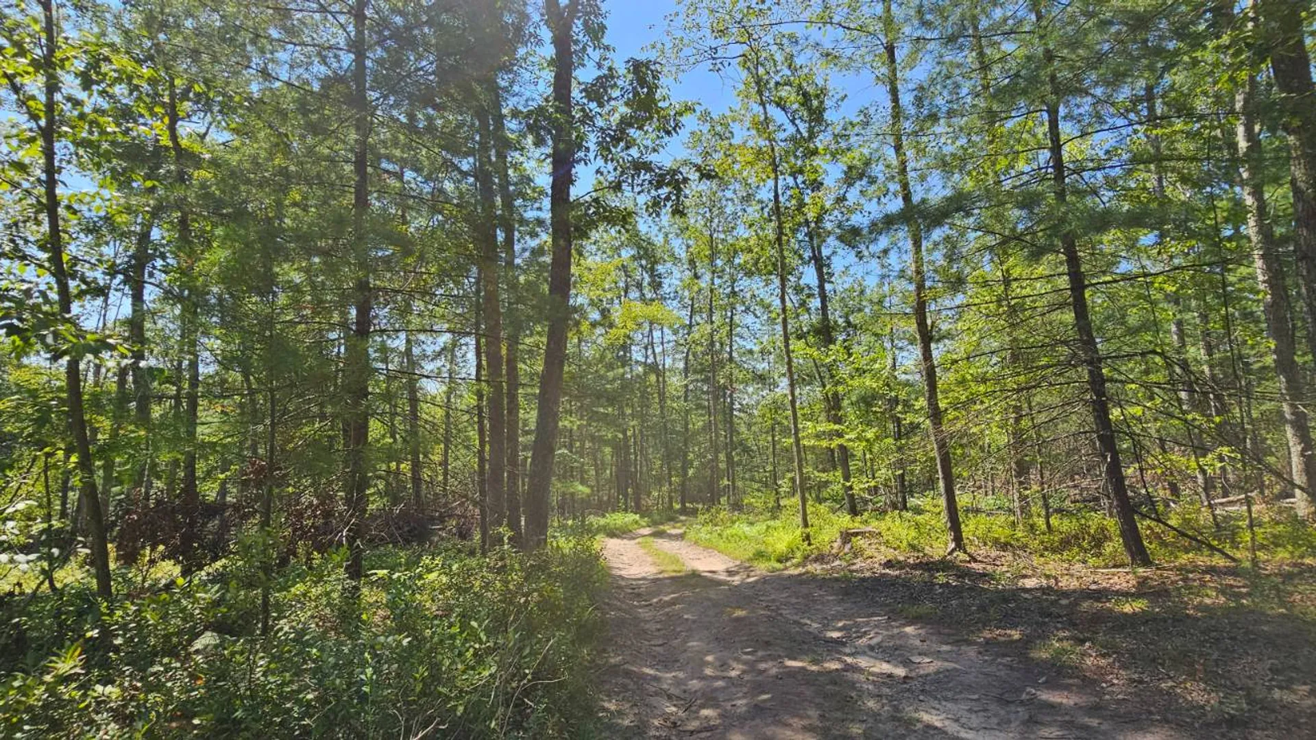 Property at Lot 8.1 Eckes Road, Narrowsburg, NY 12764 14