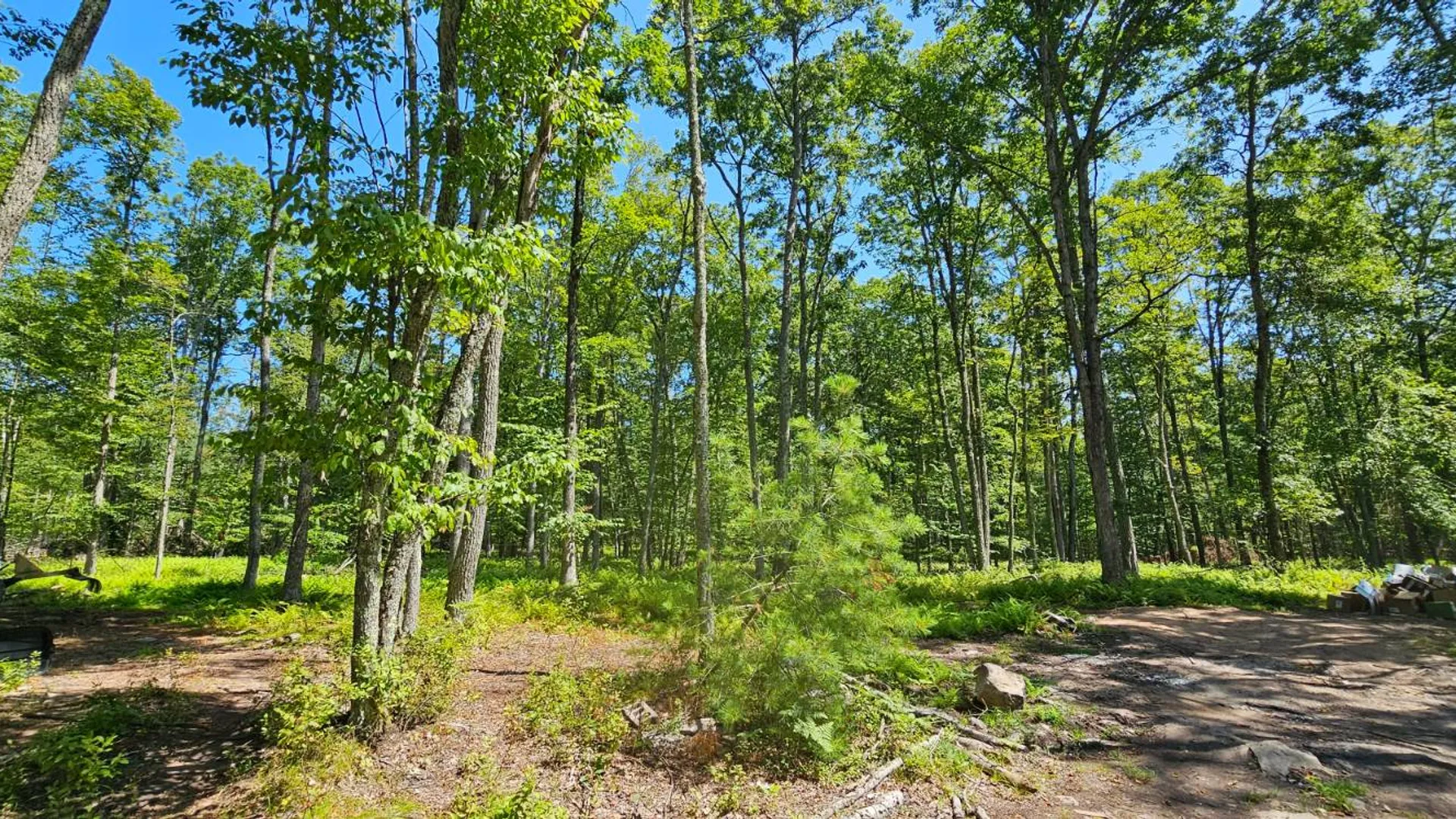 Property at Lot 8.1 Eckes Road, Narrowsburg, NY 12764 15