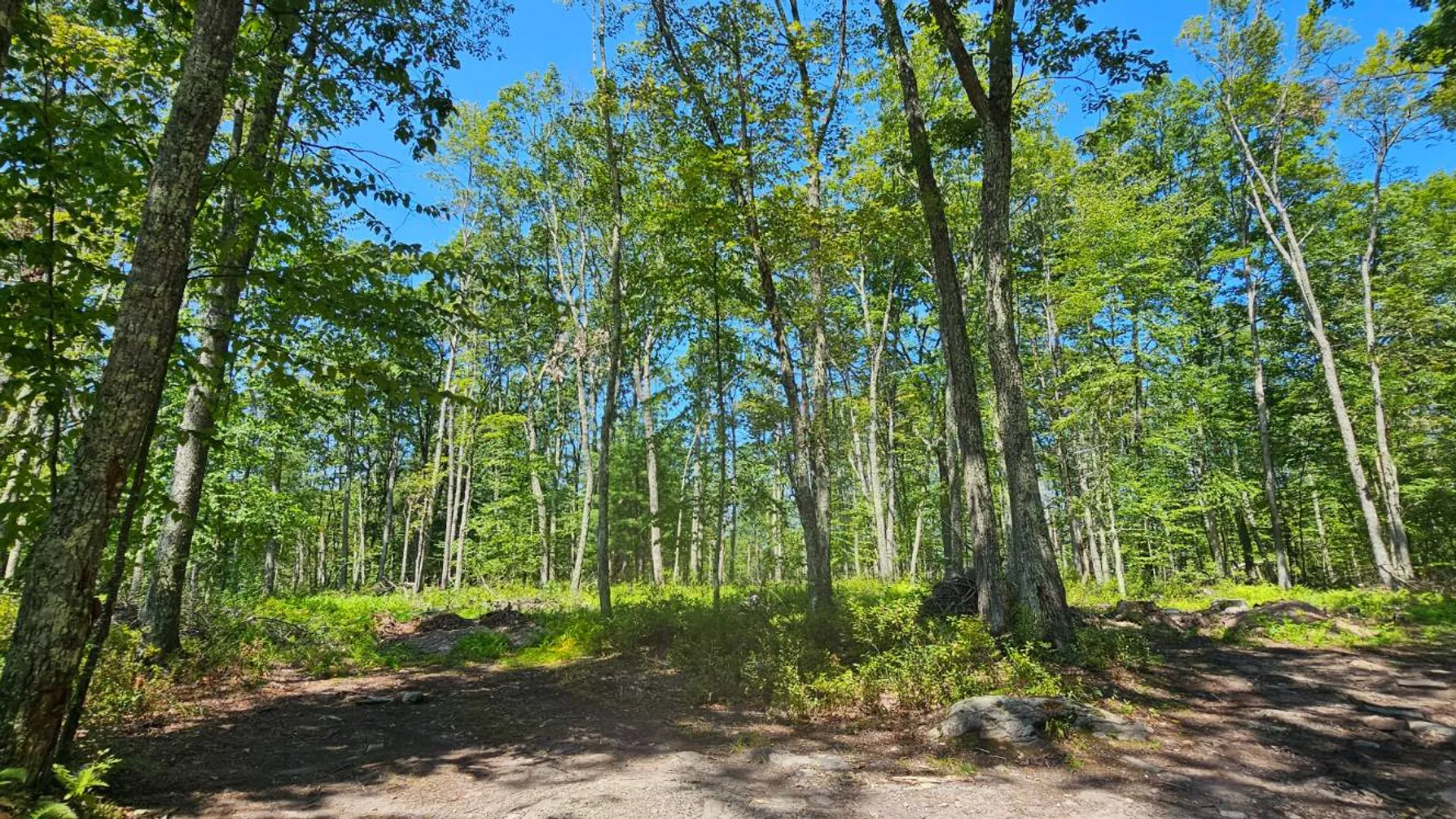 Property at Lot 8.1 Eckes Road, Narrowsburg, NY 12764 16