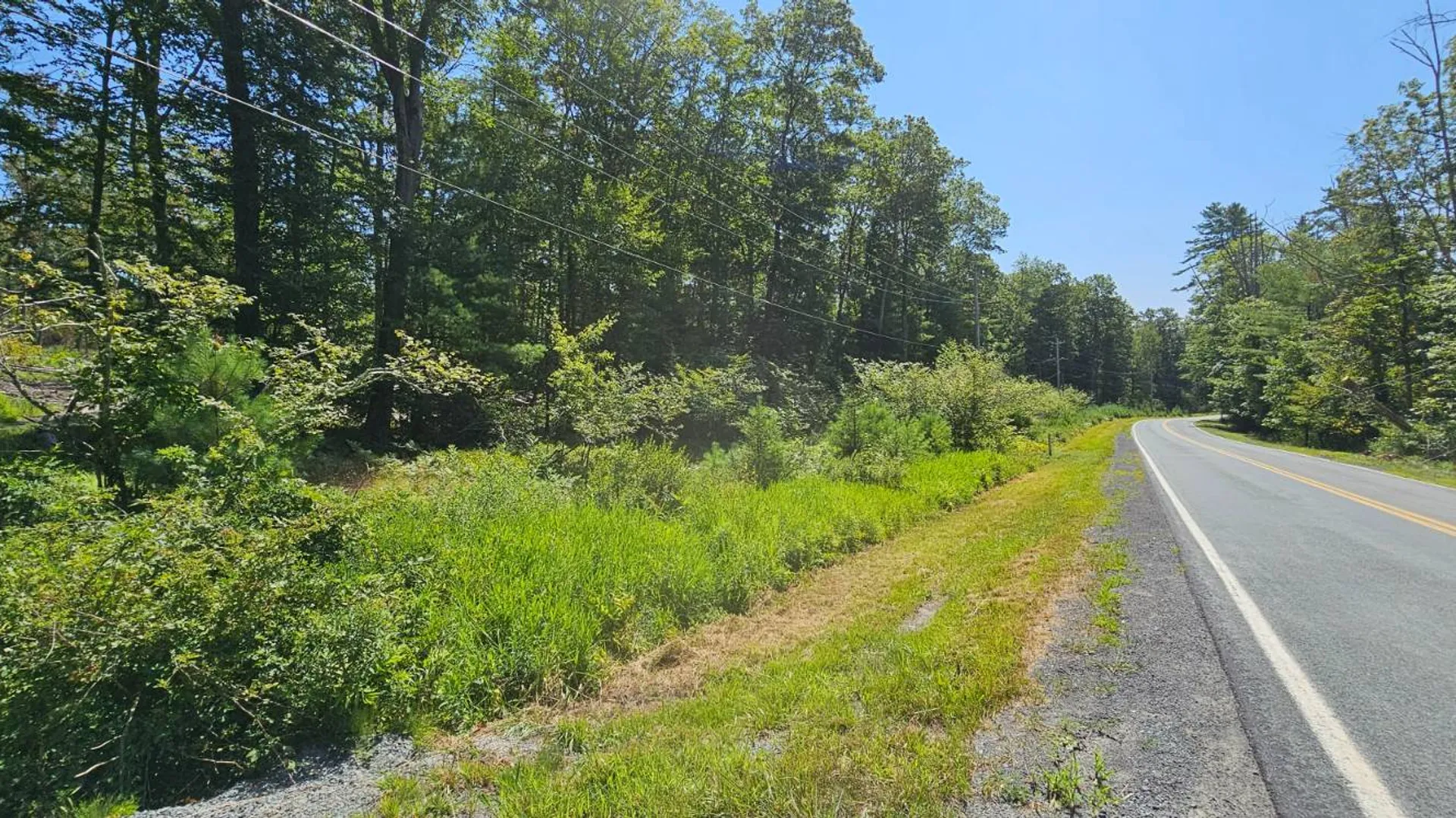 Property at Lot 8.1 Eckes Road, Narrowsburg, NY 12764 18
