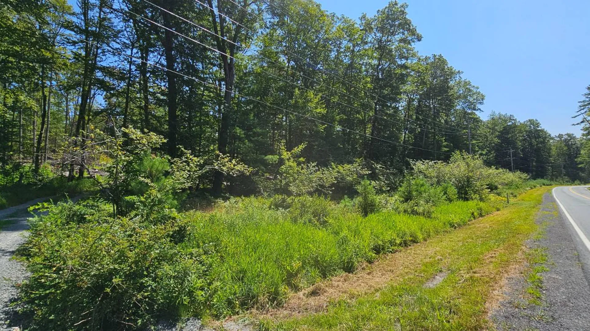 Property at Lot 8.1 Eckes Road, Narrowsburg, NY 12764 19