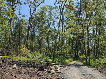 Property at Lot 8.1 Eckes Road, Narrowsburg, NY 12764