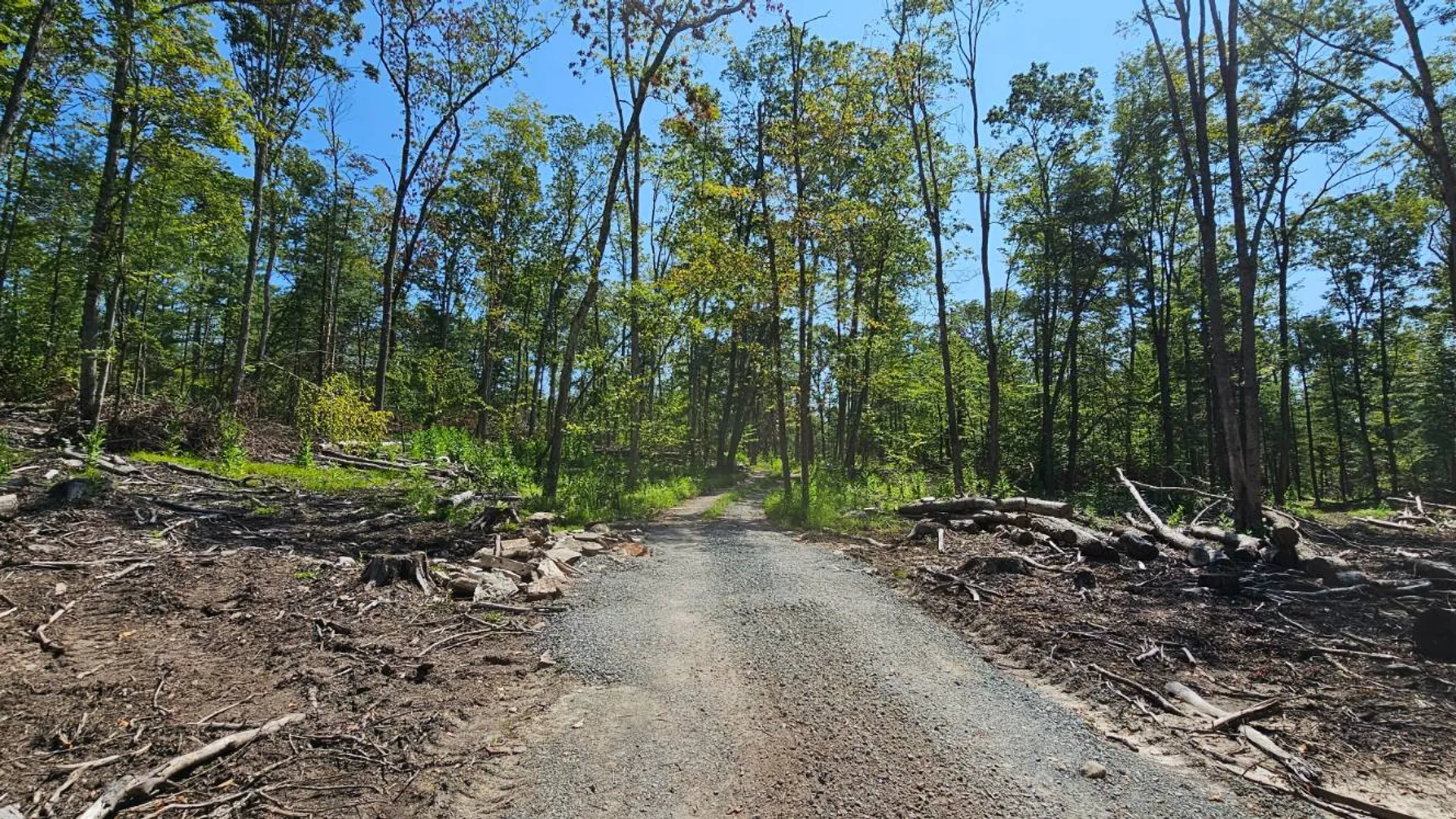 Property at Lot 8.1 Eckes Road, Narrowsburg, NY 12764 2