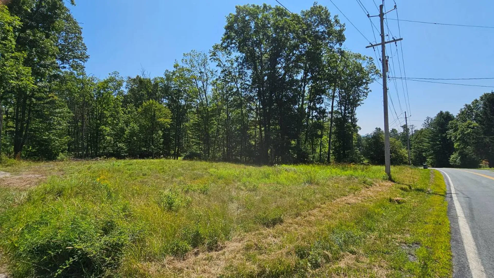 Property at Lot 8.1 Eckes Road, Narrowsburg, NY 12764 23