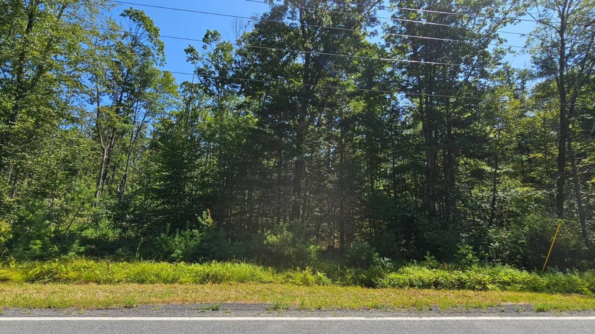 Property at Lot 8.1 Eckes Road, Narrowsburg, NY 12764 27