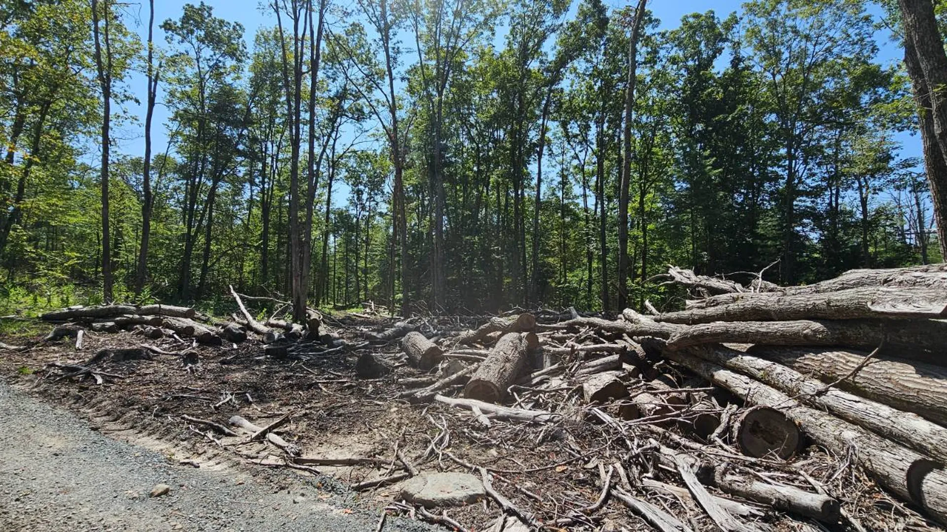 Property at Lot 8.1 Eckes Road, Narrowsburg, NY 12764 3