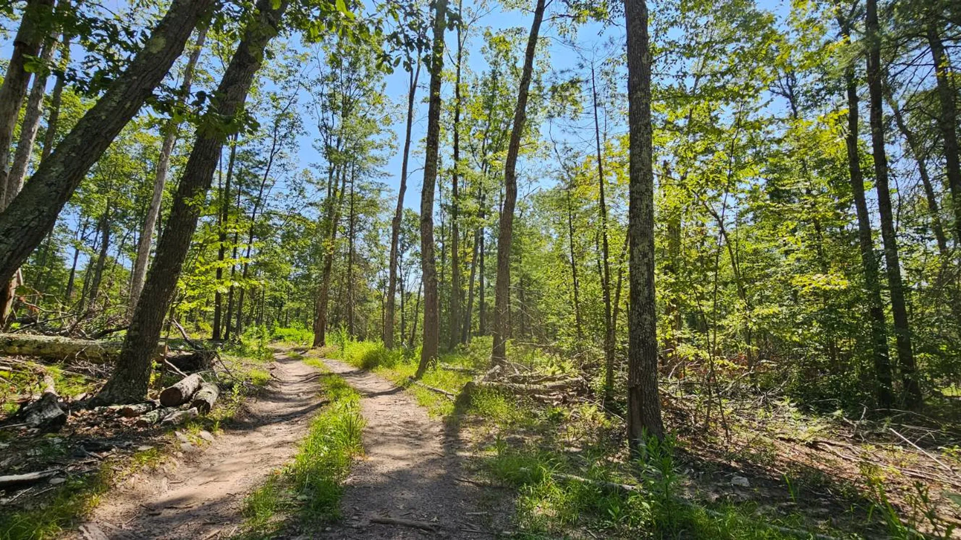 Property at Lot 8.1 Eckes Road, Narrowsburg, NY 12764 6