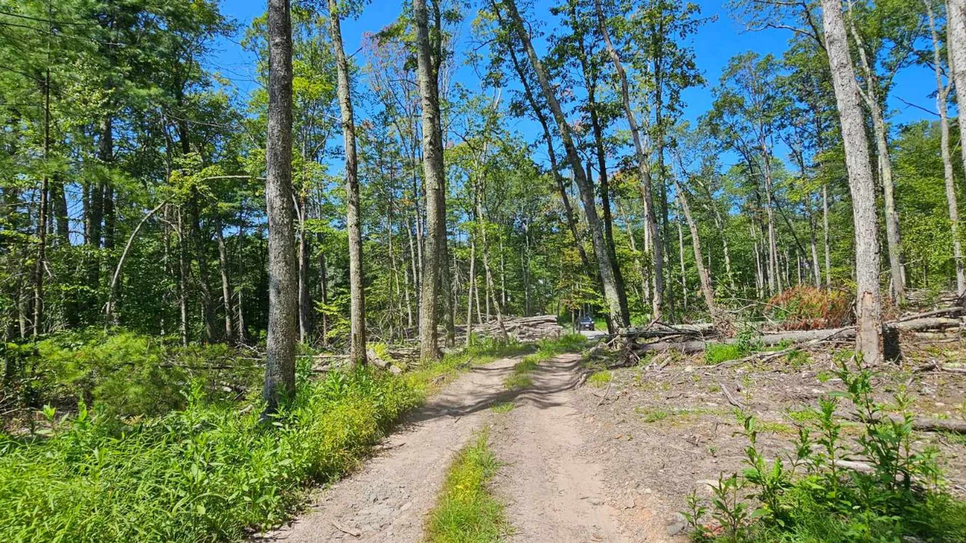 Property at Lot 8.1 Eckes Road, Narrowsburg, NY 12764 8