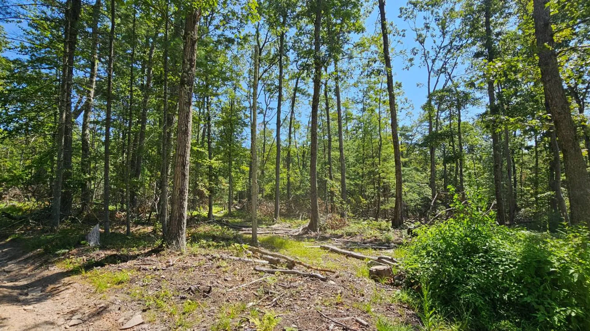 Property at Lot 8.1 Eckes Road, Narrowsburg, NY 12764 9