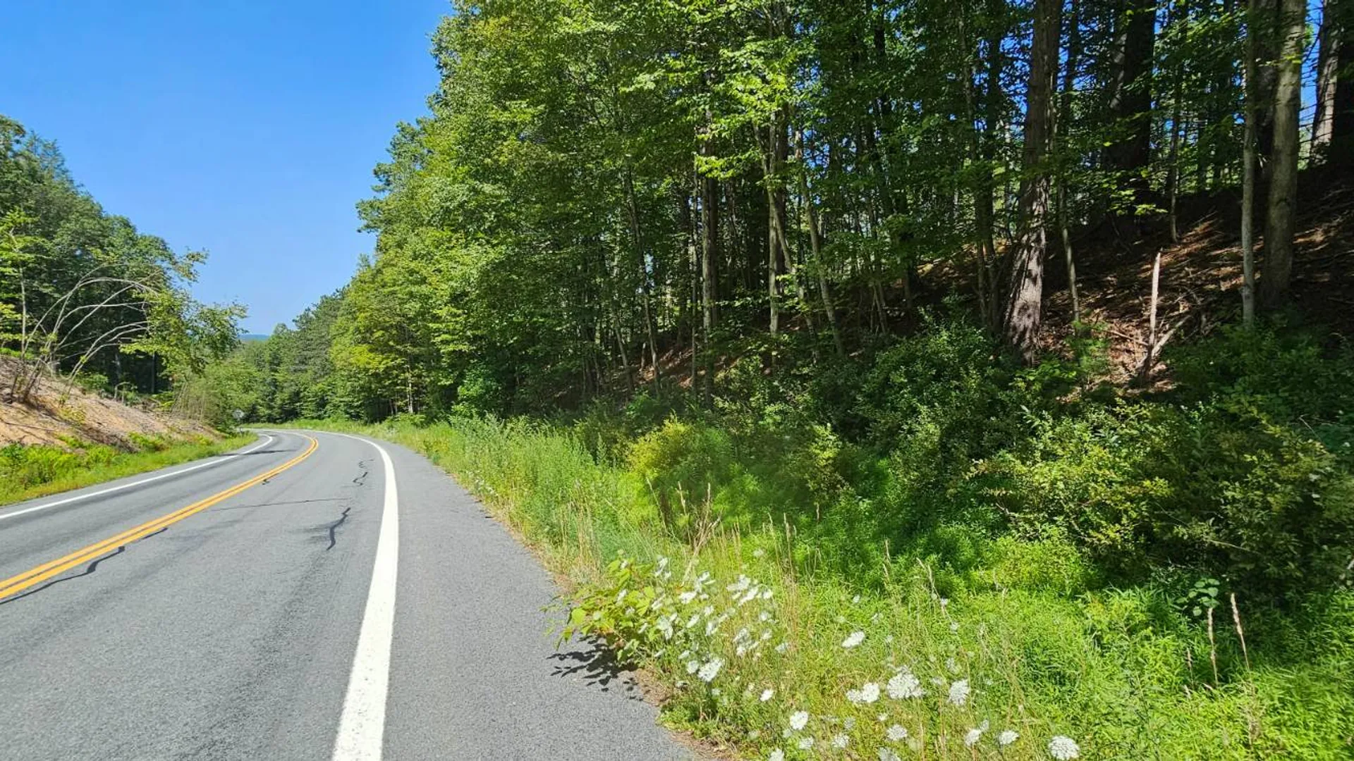Property at Lot 50 Deep Hollow Hill Rd, Narrowsburg, NY 12764 10