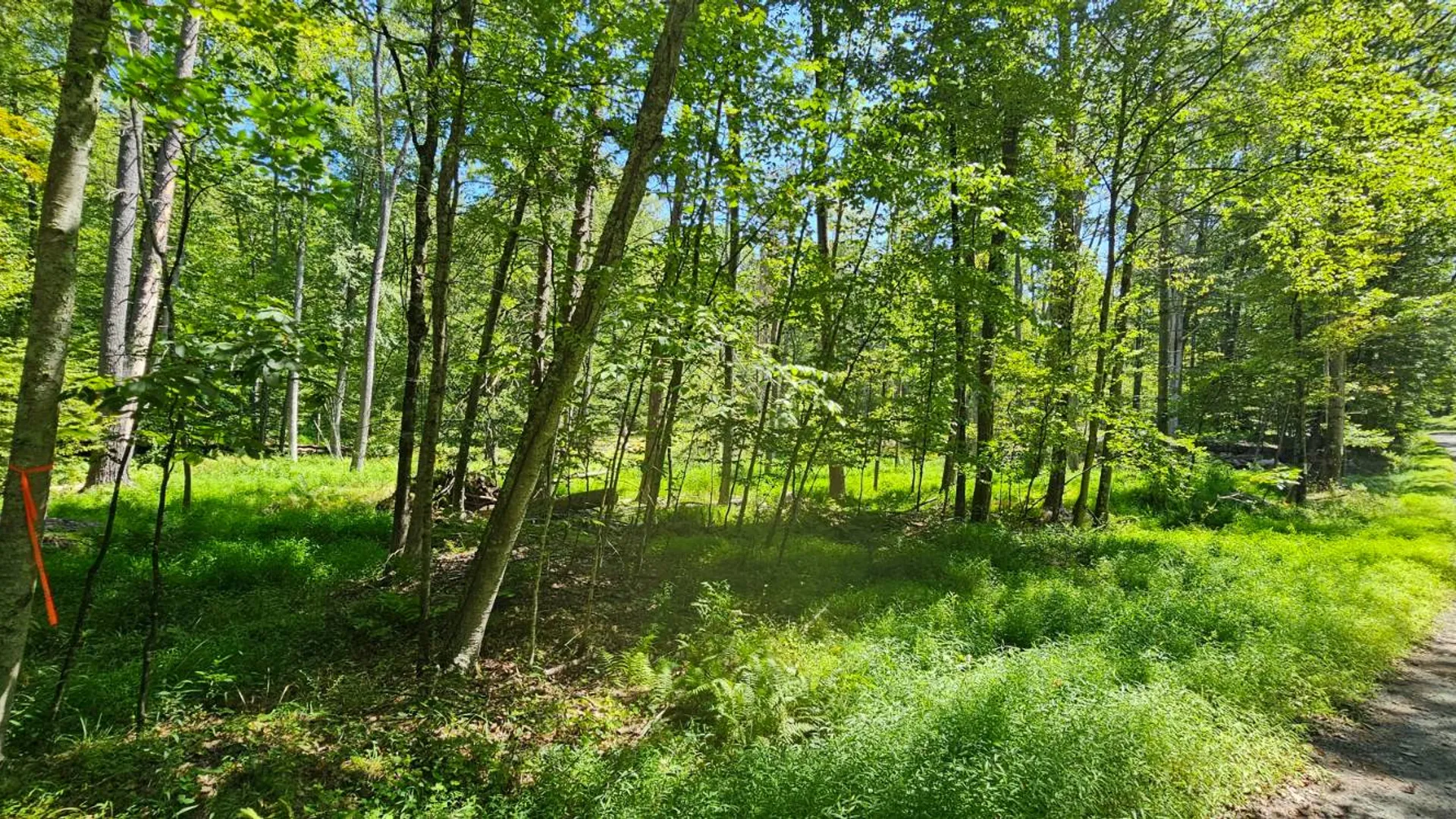 Property at Lot 50 Deep Hollow Hill Rd, Narrowsburg, NY 12764 11