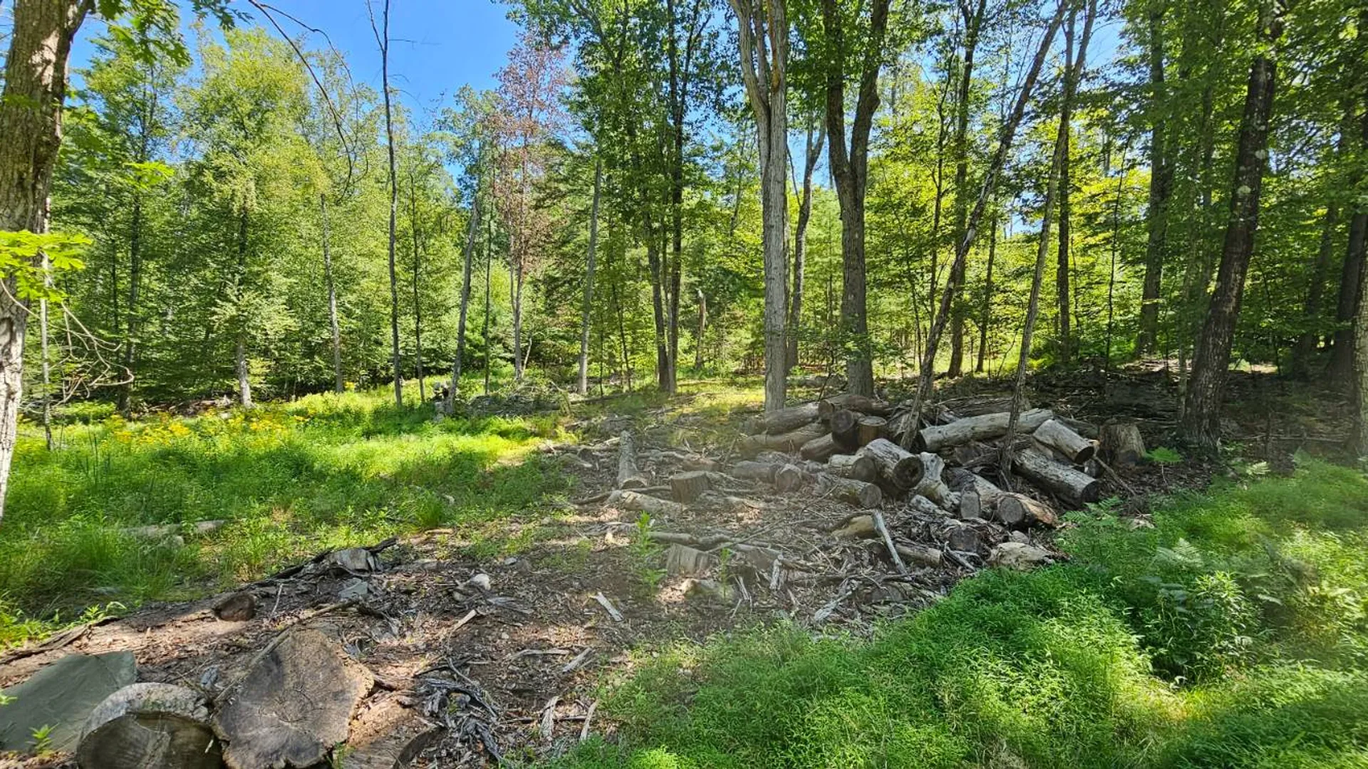 Property at Lot 50 Deep Hollow Hill Rd, Narrowsburg, NY 12764 12