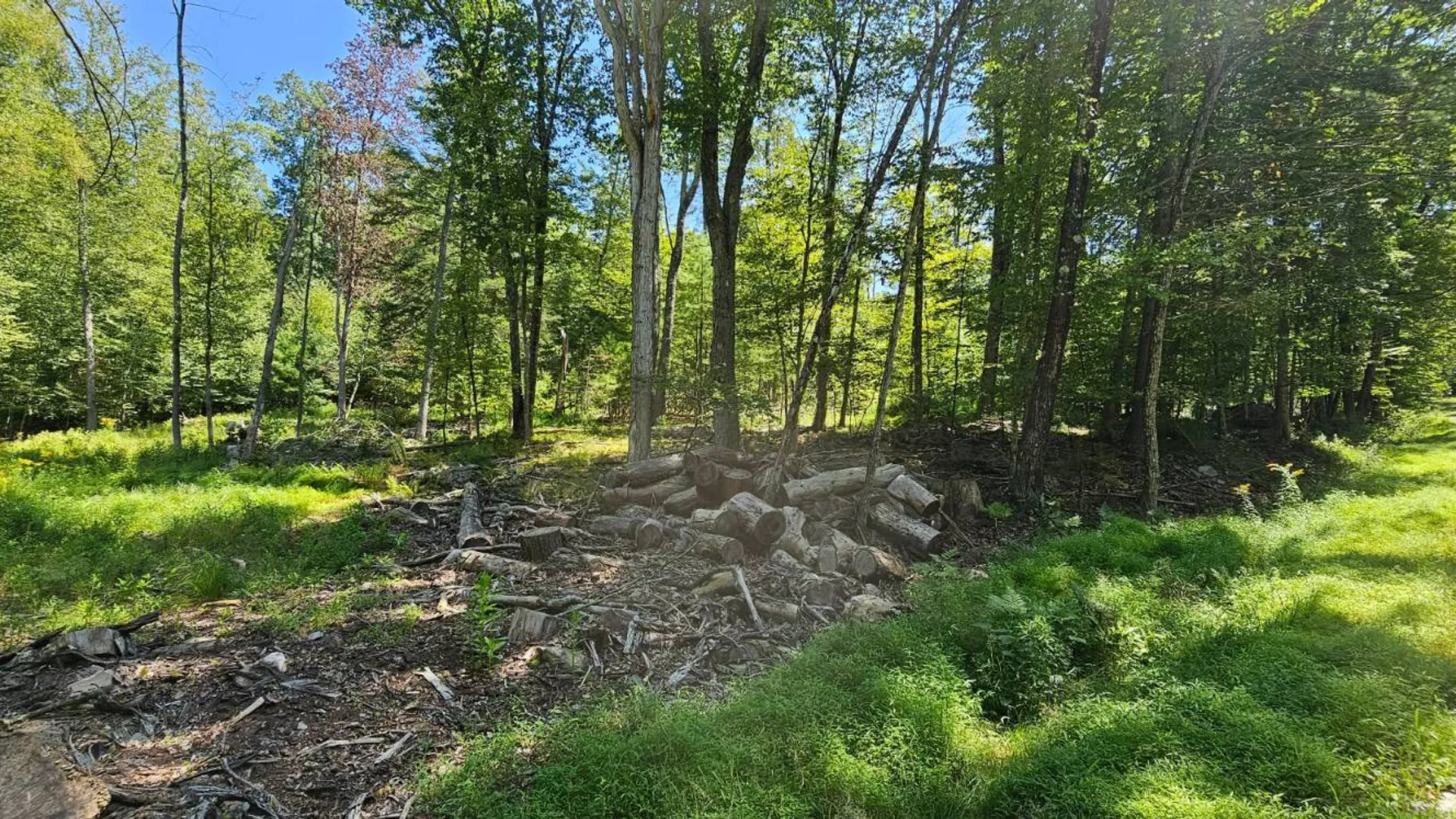 Property at Lot 50 Deep Hollow Hill Rd, Narrowsburg, NY 12764 13