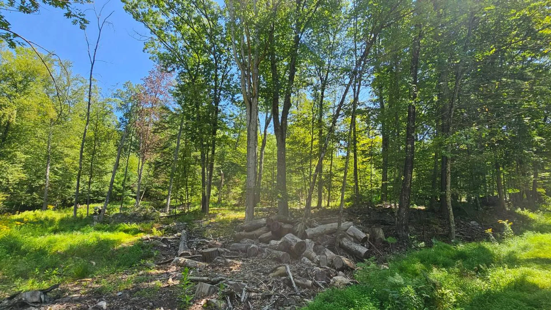 Property at Lot 50 Deep Hollow Hill Rd, Narrowsburg, NY 12764 14
