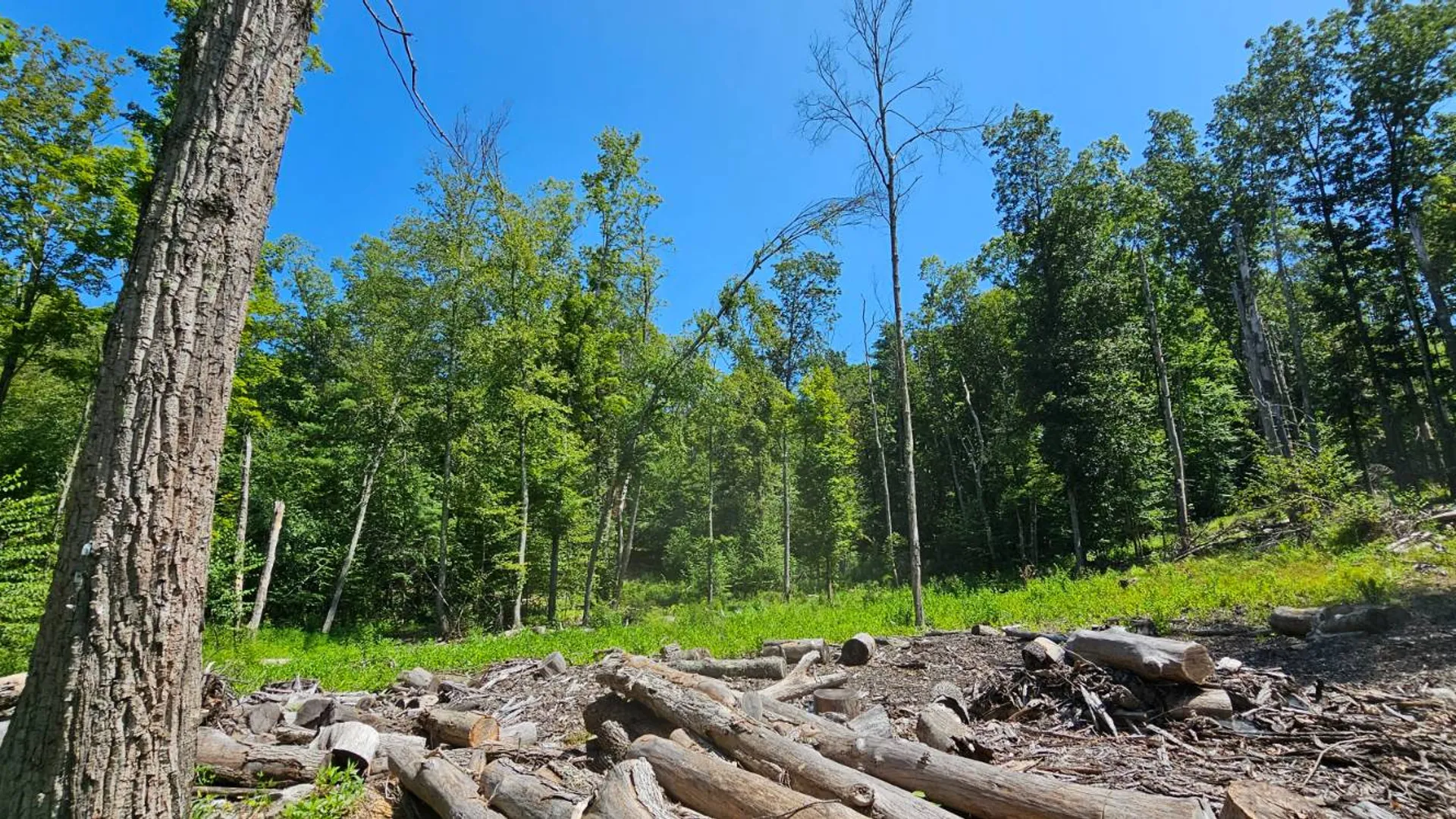 Property at Lot 50 Deep Hollow Hill Rd, Narrowsburg, NY 12764 18