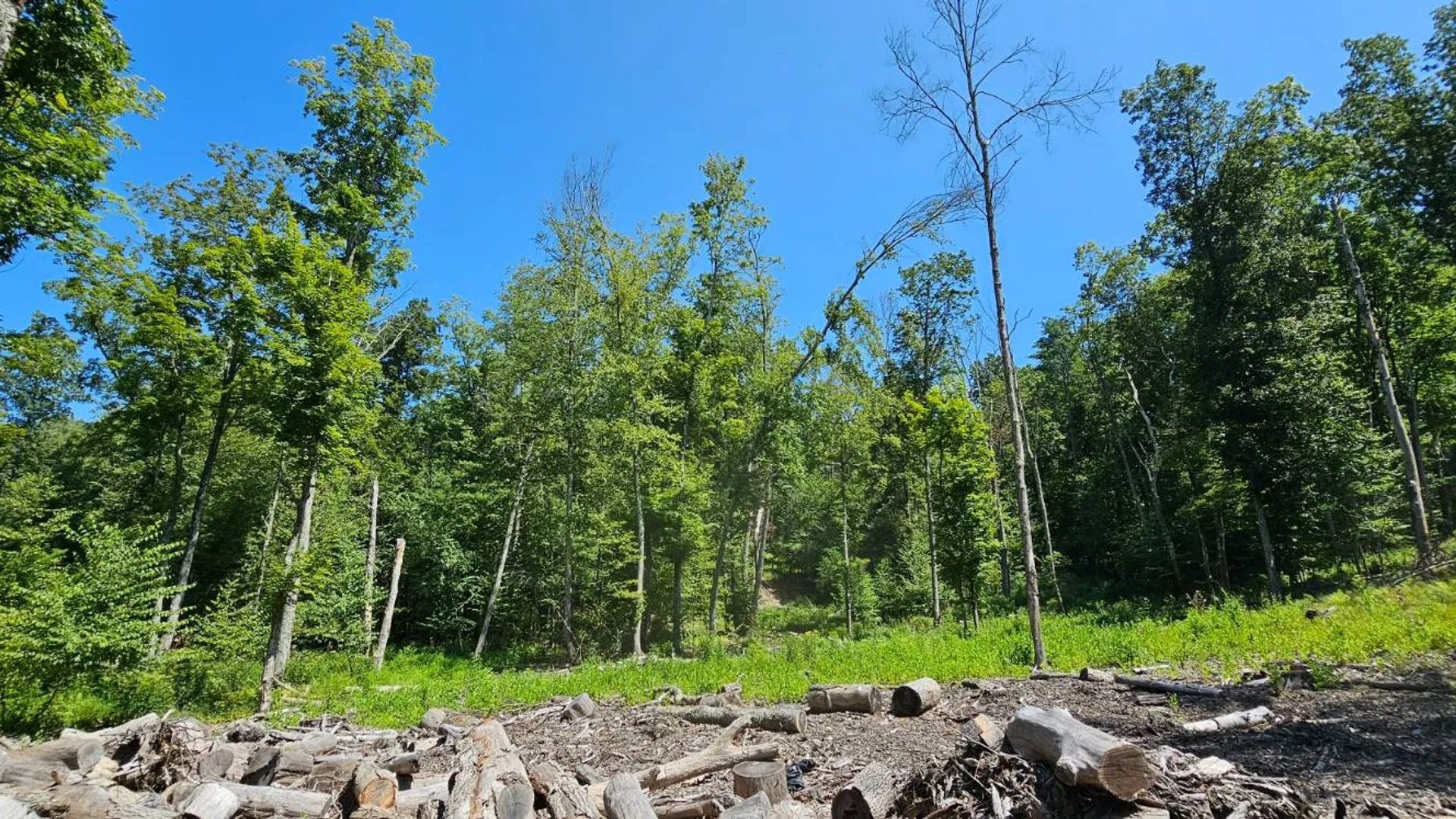 Property at Lot 50 Deep Hollow Hill Rd, Narrowsburg, NY 12764 19