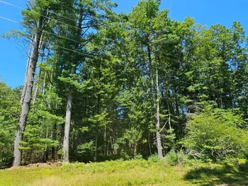 Property at Lot 50 Deep Hollow Hill Rd, Narrowsburg, NY 12764