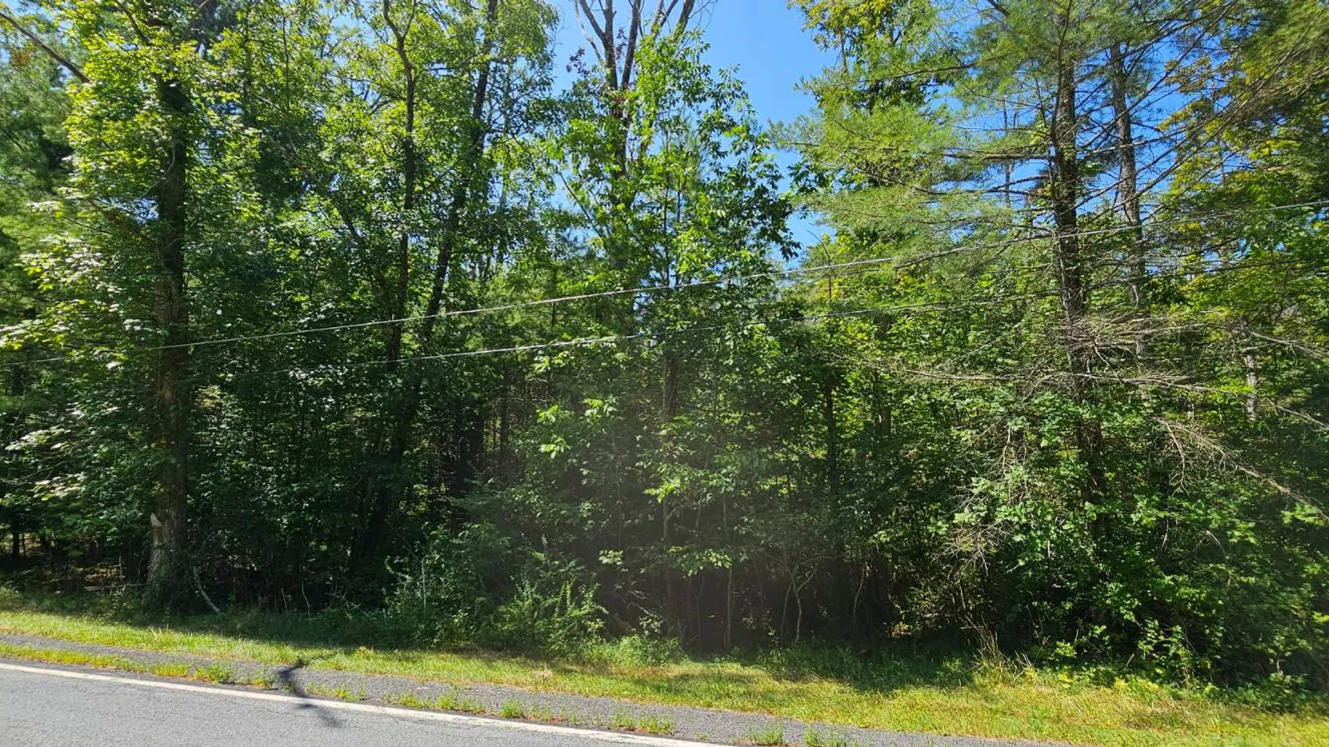 Property at Lot 50 Deep Hollow Hill Rd, Narrowsburg, NY 12764 3