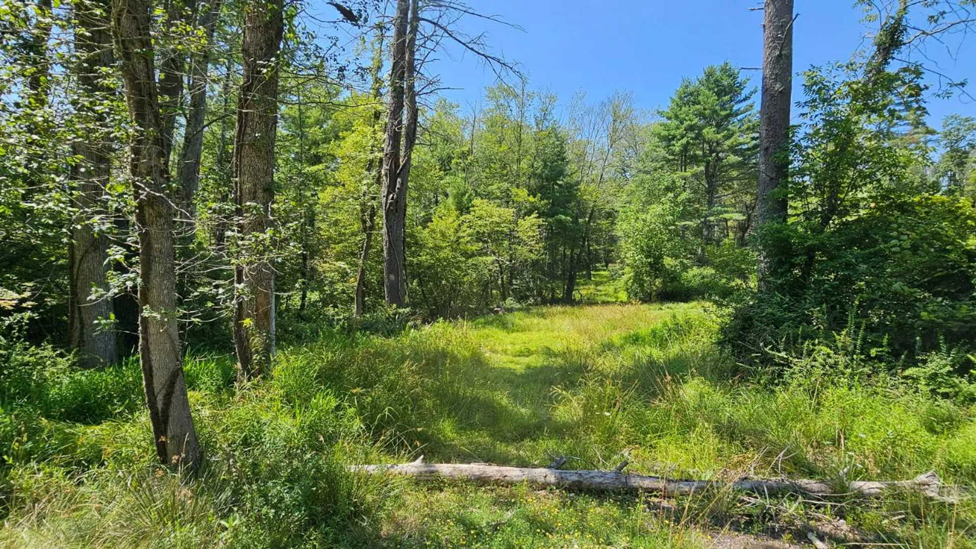 Property at Lot 50 Deep Hollow Hill Rd, Narrowsburg, NY 12764 4
