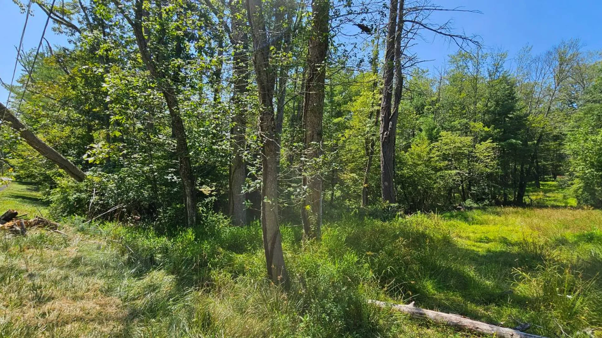 Property at Lot 50 Deep Hollow Hill Rd, Narrowsburg, NY 12764 5