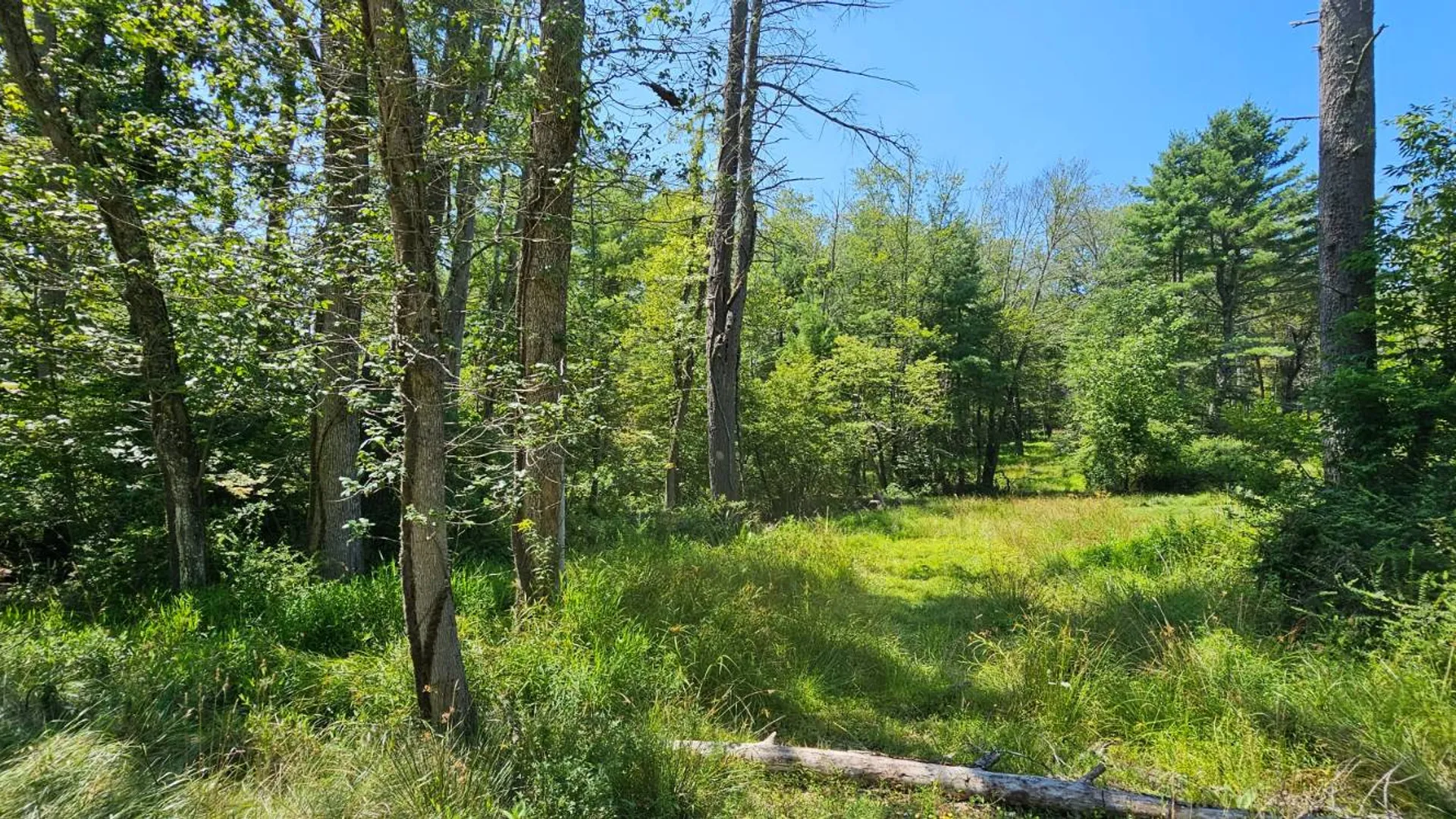 Property at Lot 50 Deep Hollow Hill Rd, Narrowsburg, NY 12764 6