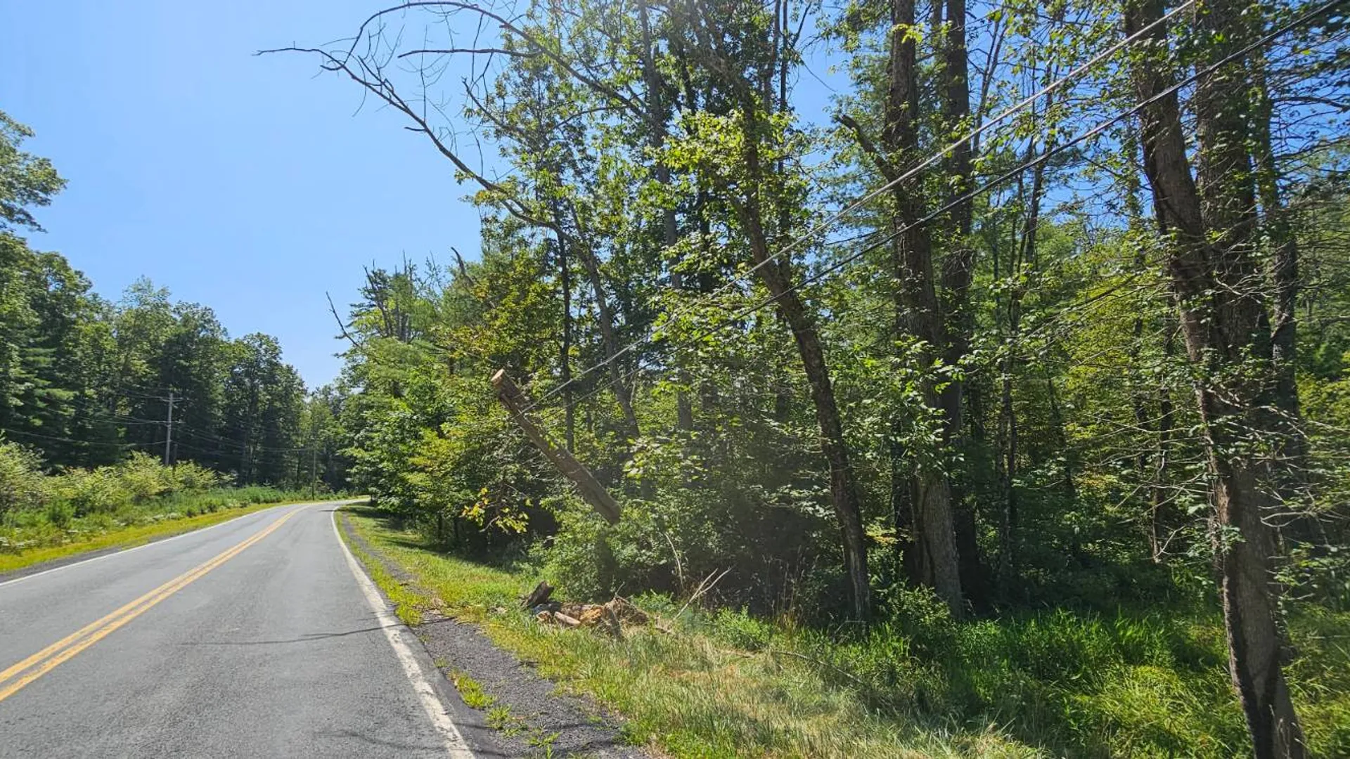 Property at Lot 50 Deep Hollow Hill Rd, Narrowsburg, NY 12764 8