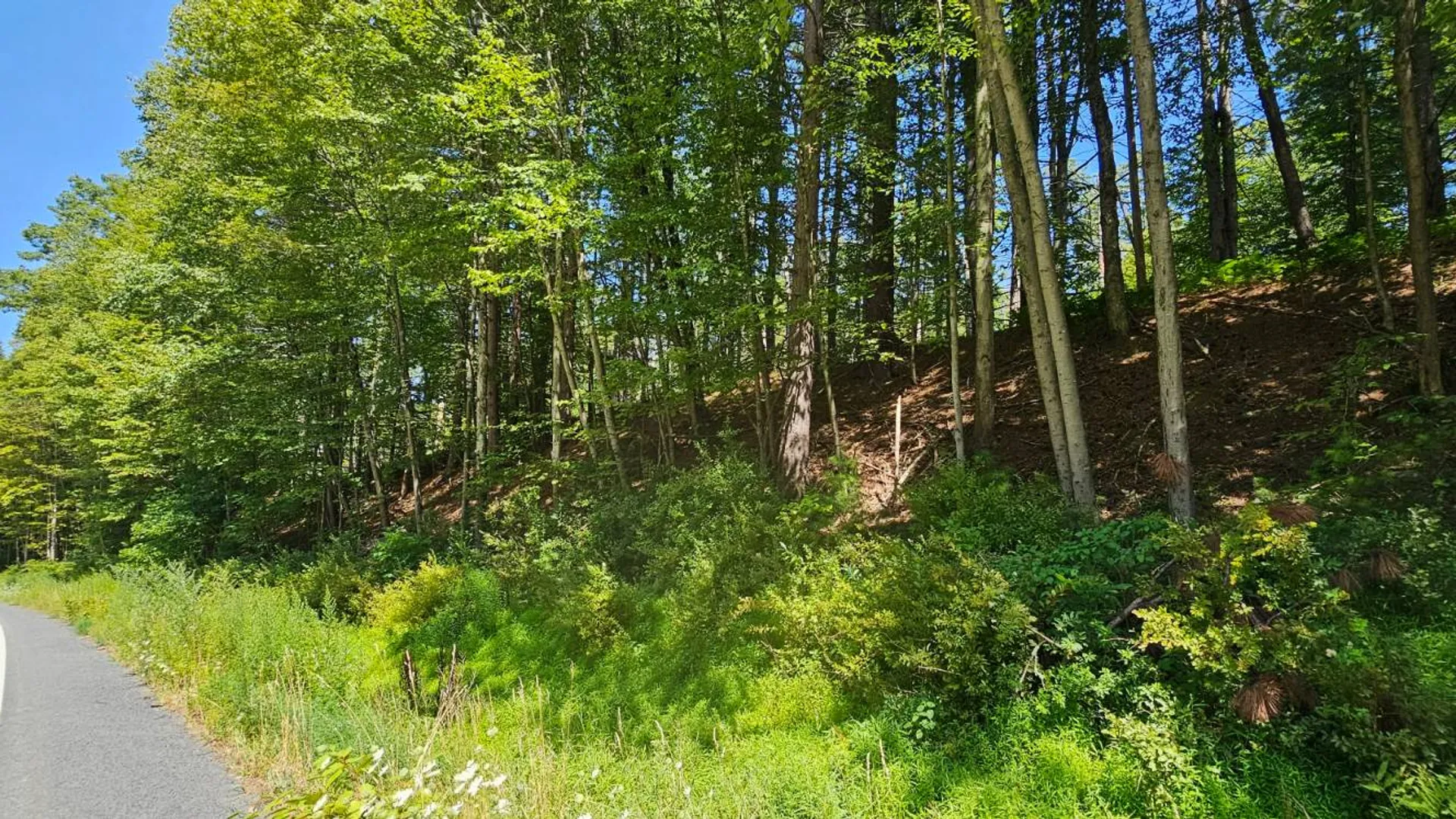Property at Lot 50 Deep Hollow Hill Rd, Narrowsburg, NY 12764 9