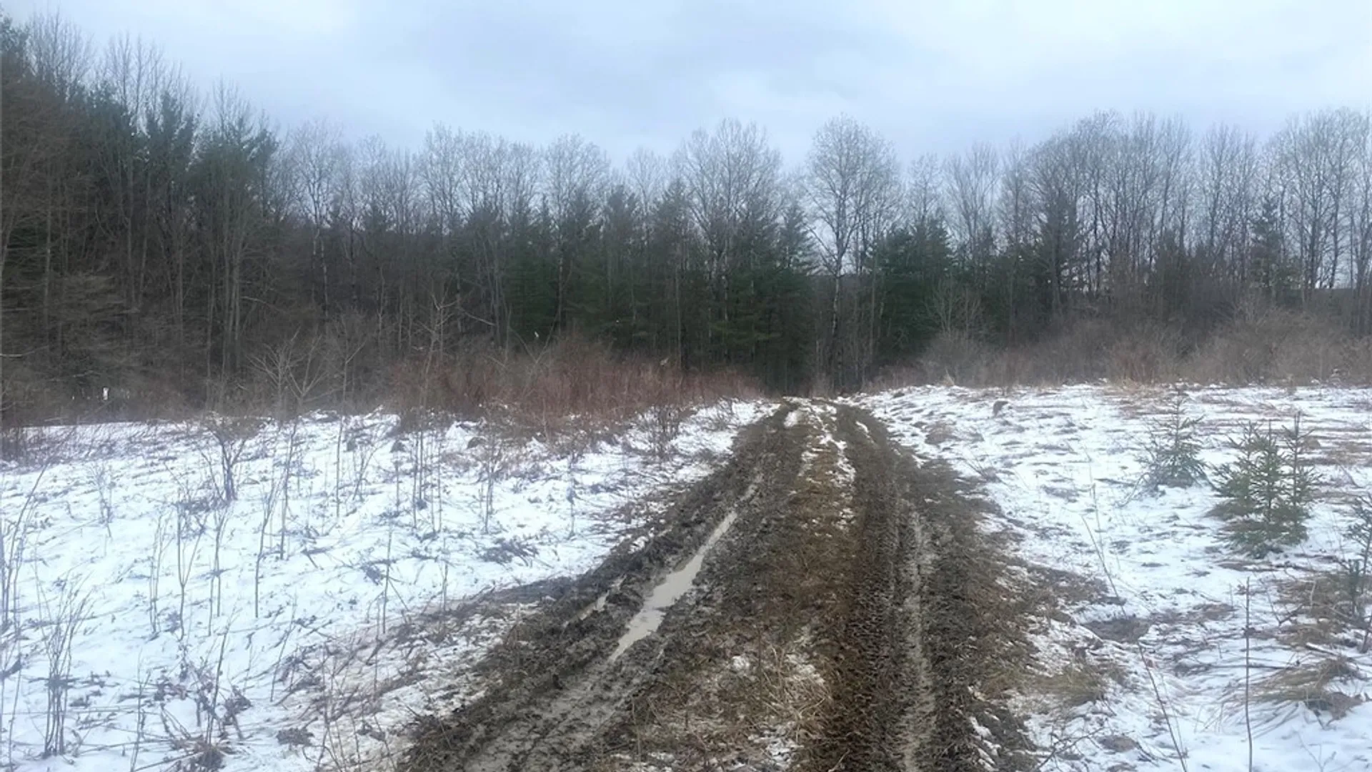 Property at 9382 Redman Road, Allen, NY 14735 12