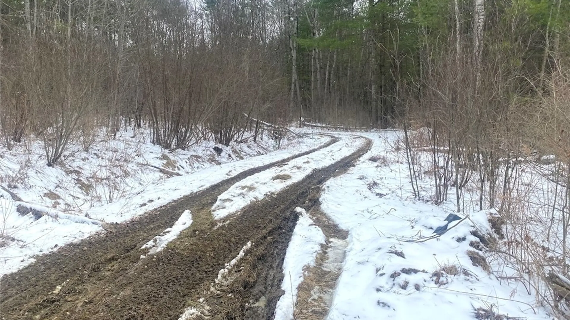 Property at 9382 Redman Road, Allen, NY 14735 13