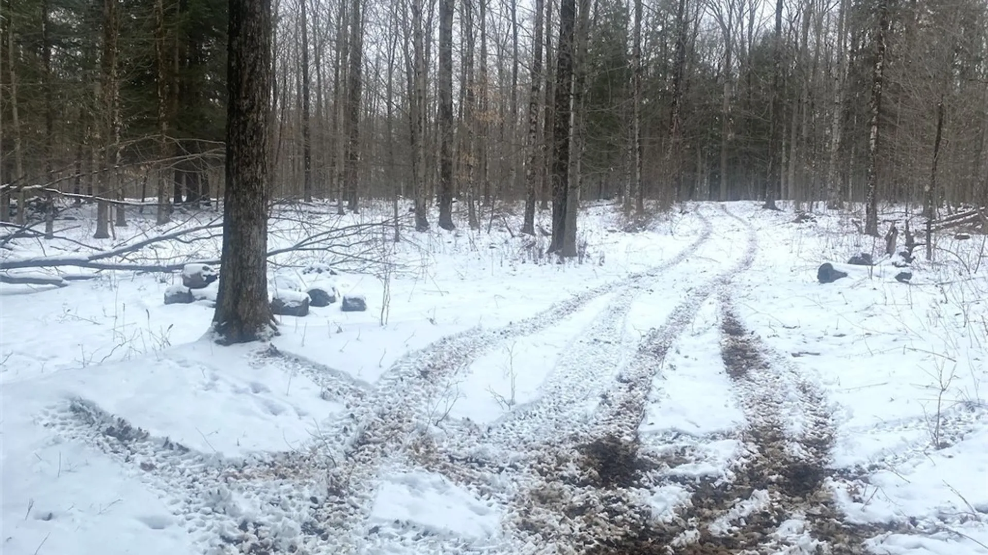 Property at 9382 Redman Road, Allen, NY 14735 15