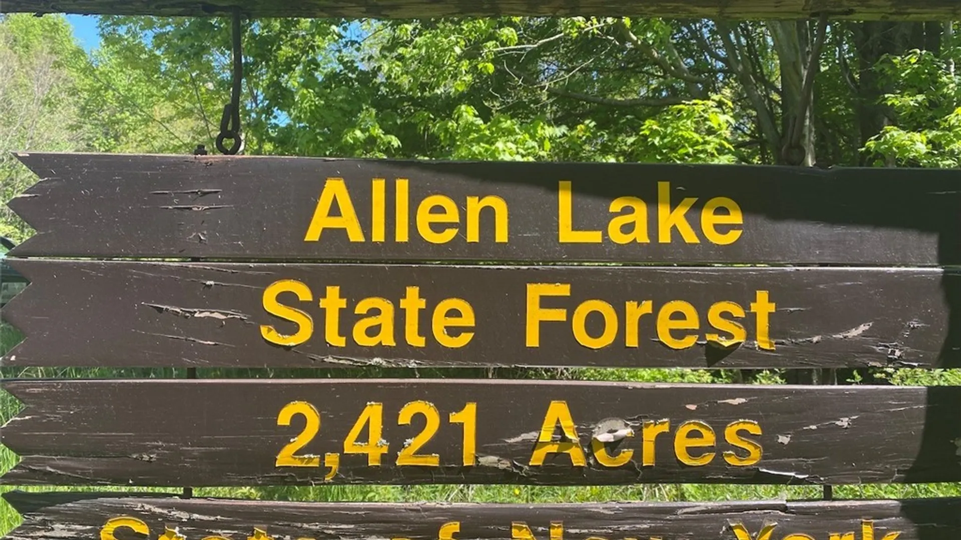 Property at 9382 Redman Road, Allen, NY 14735 19