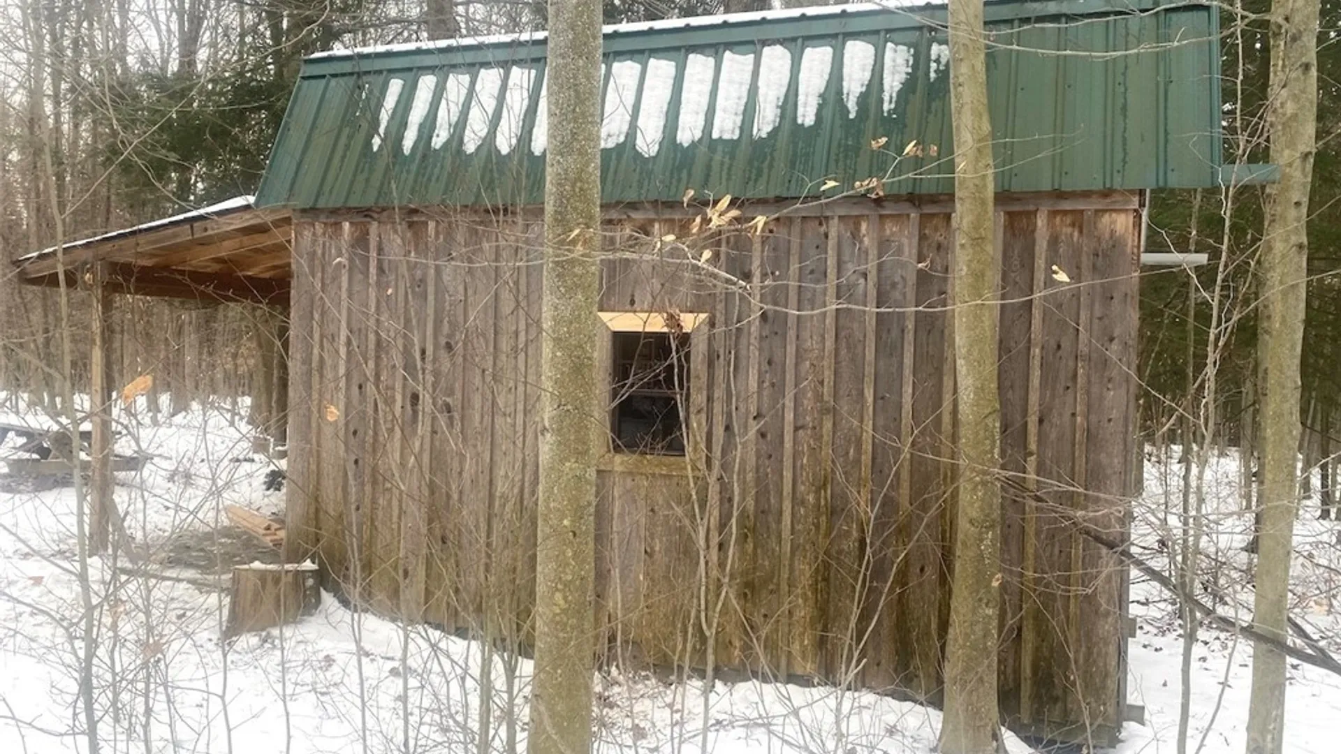 Property at 9382 Redman Road, Allen, NY 14735 2