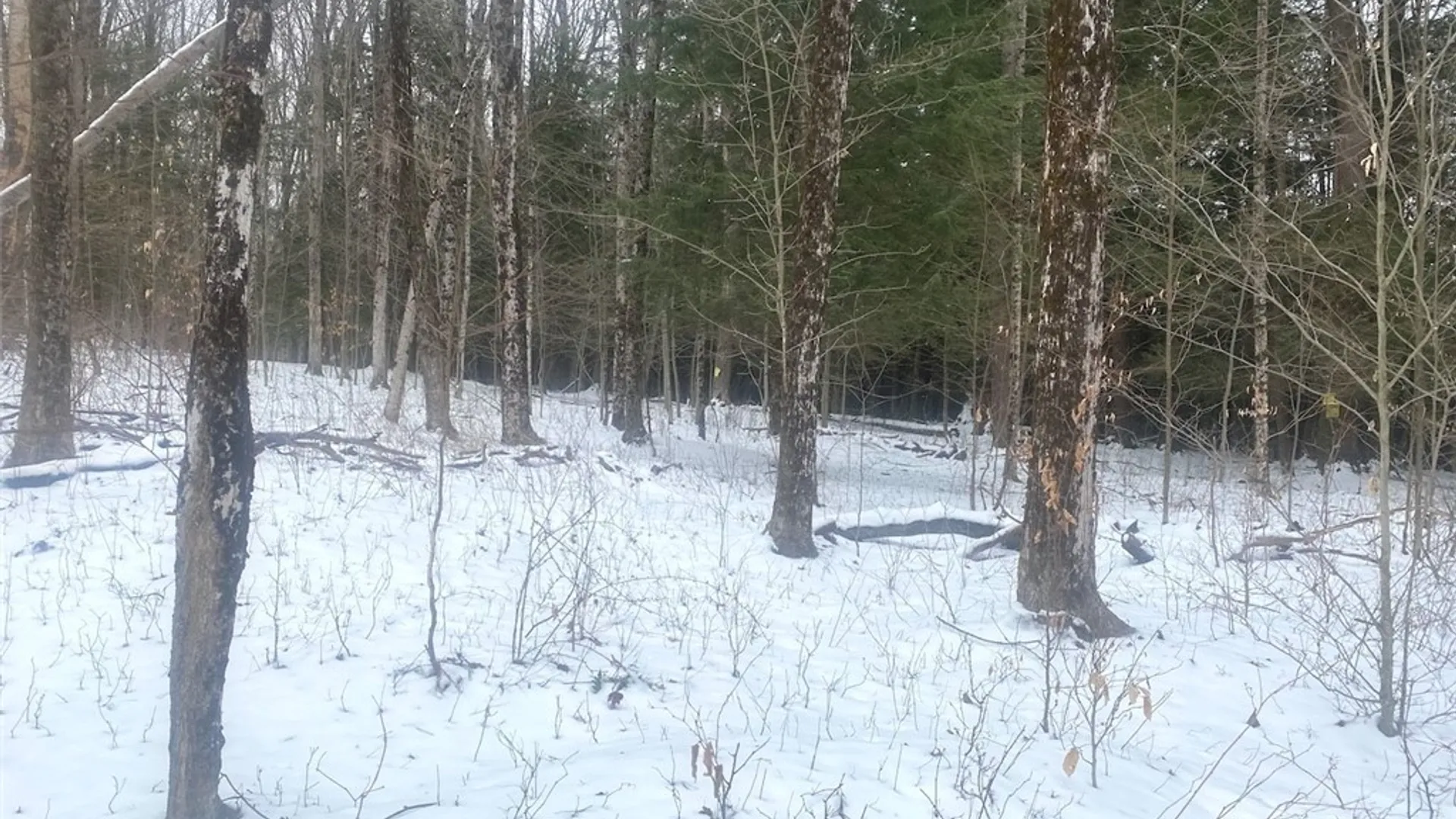 Property at 9382 Redman Road, Allen, NY 14735 9