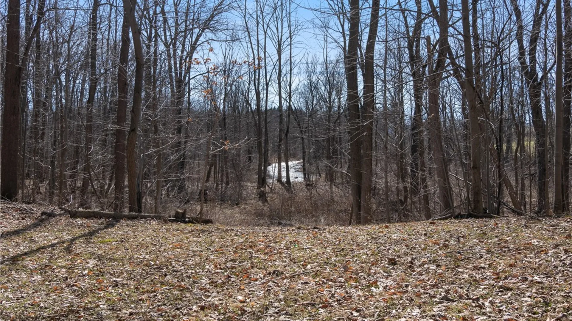 Property at 864 Gravel Road, Tyre, NY 13148 18