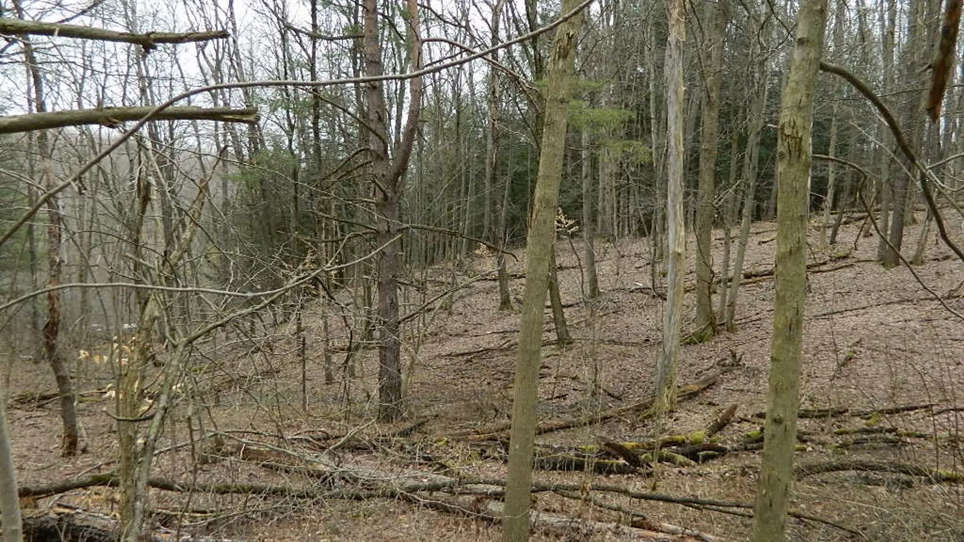 Property at 9999 Olean Road, Holland, NY 14080 16