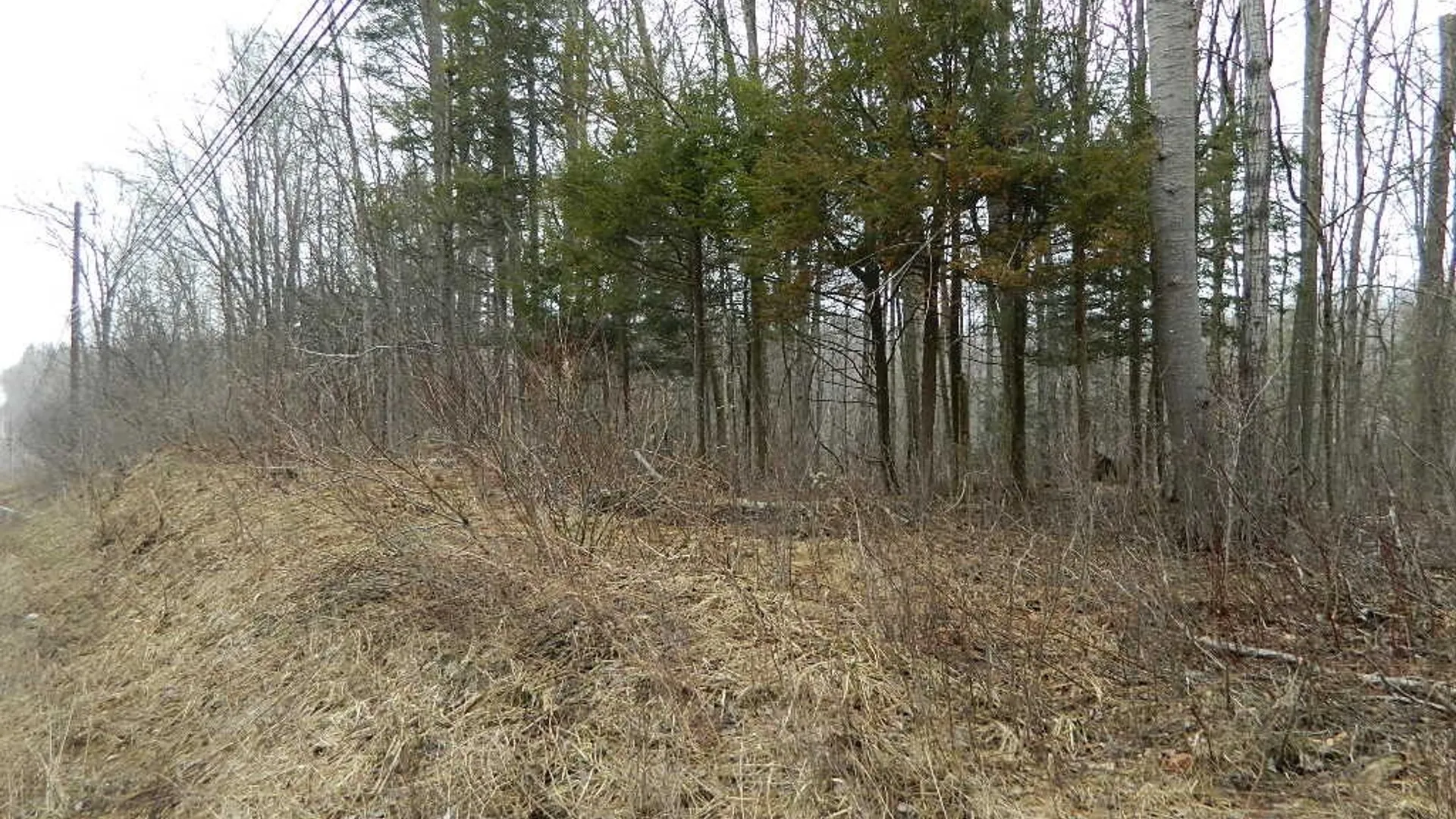 Property at 9999 Olean Road, Holland, NY 14080 2