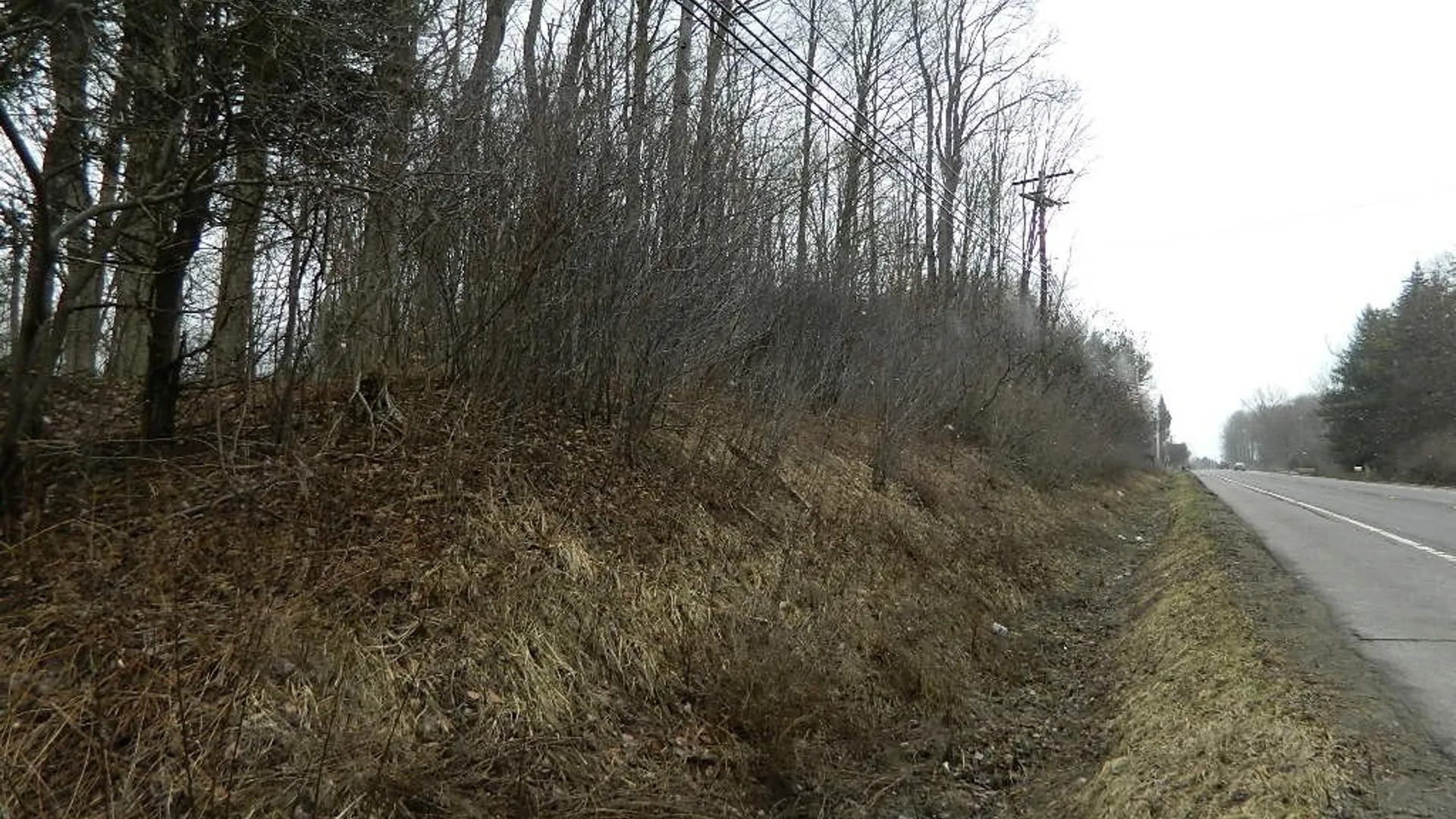 Property at 9999 Olean Road, Holland, NY 14080 3