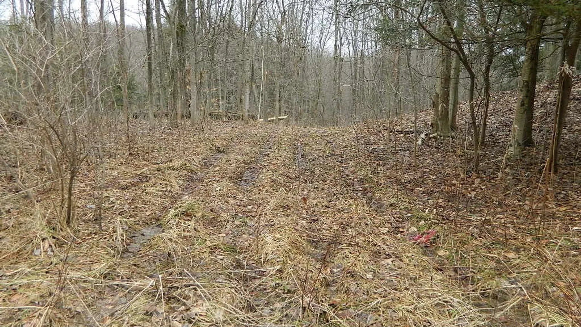 Property at 9999 Olean Road, Holland, NY 14080 4