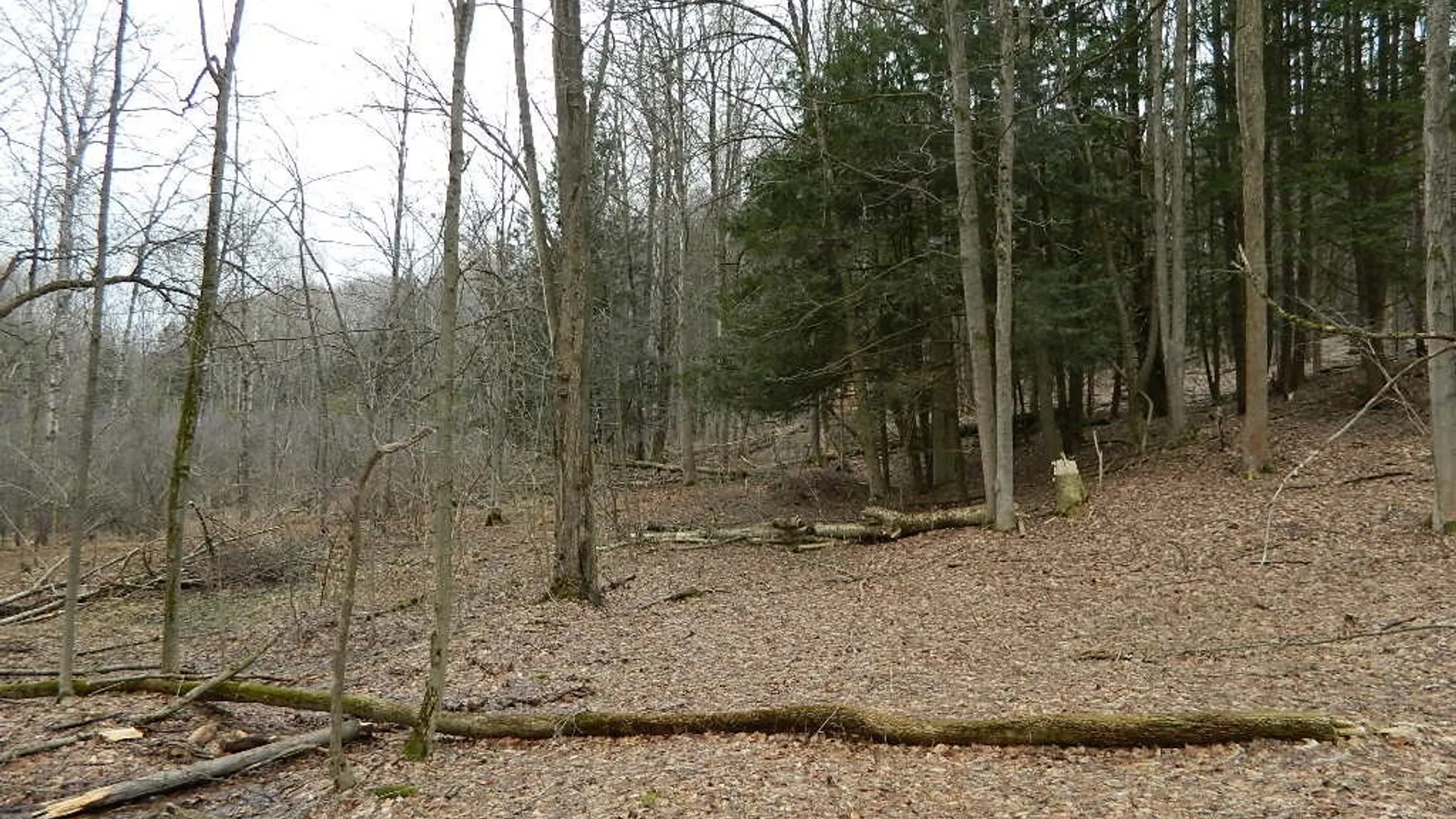 Property at 9999 Olean Road, Holland, NY 14080 7