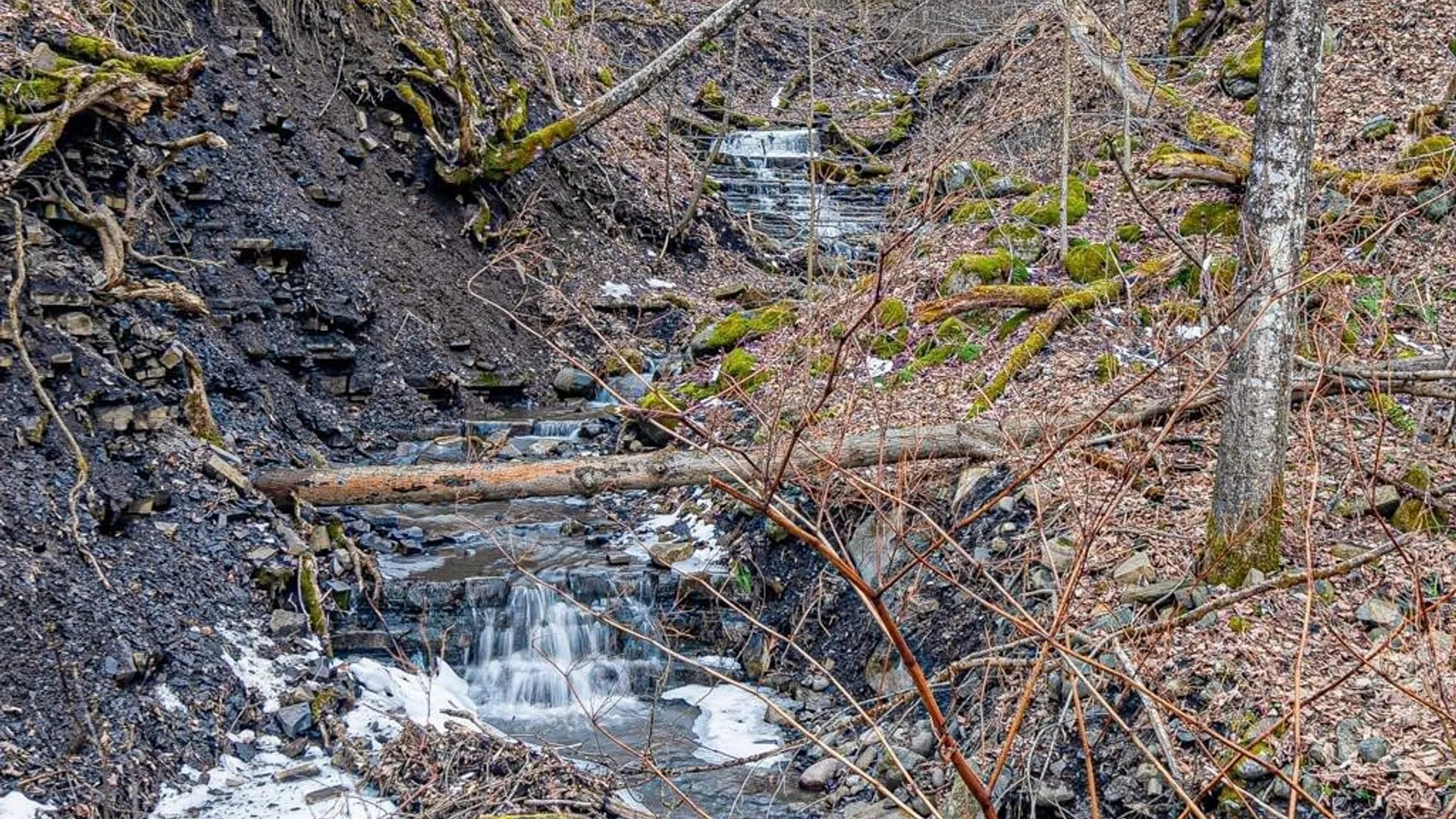 Property at 3391 State Route 28, Herkimer, NY 13350 49