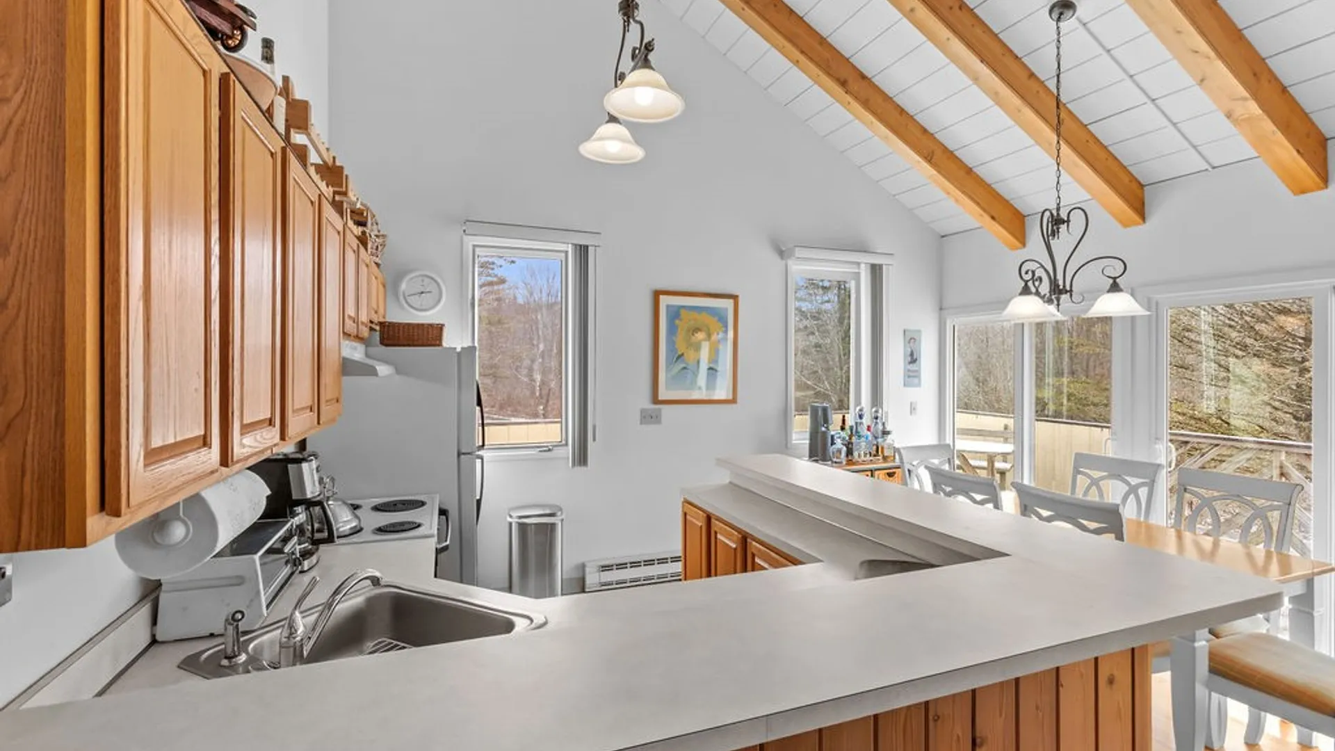 Property at 90 Pines Drive, Roxbury, NY 12474 13