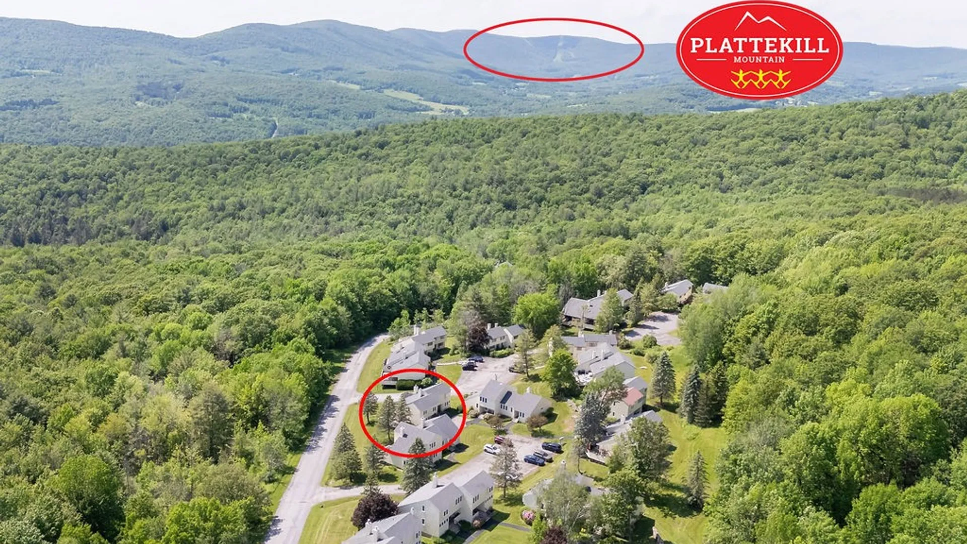 Property at 90 Pines Drive, Roxbury, NY 12474 43