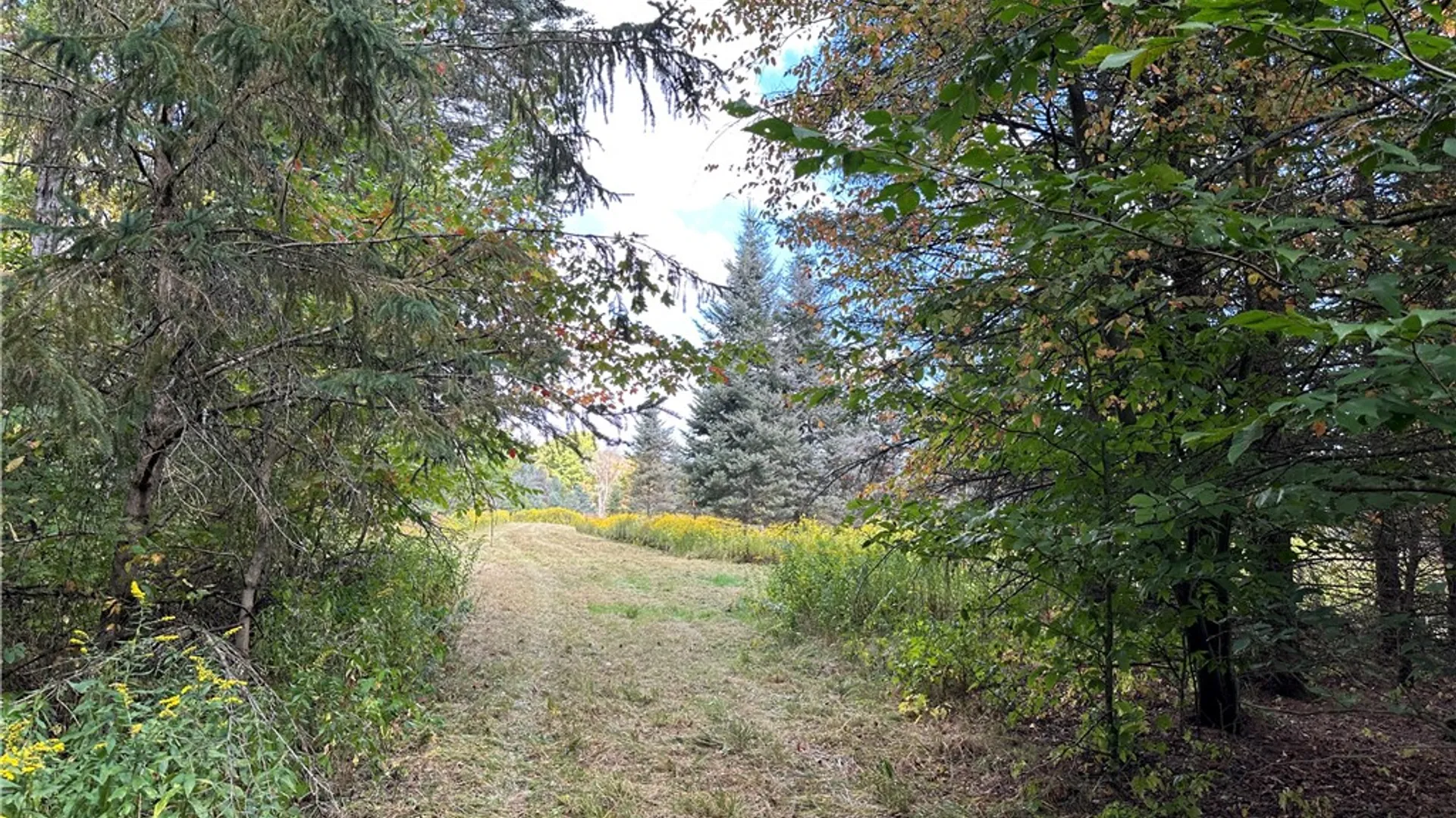 Property at Lot 9 McAndrews Rd, Alfred, NY 14806 11