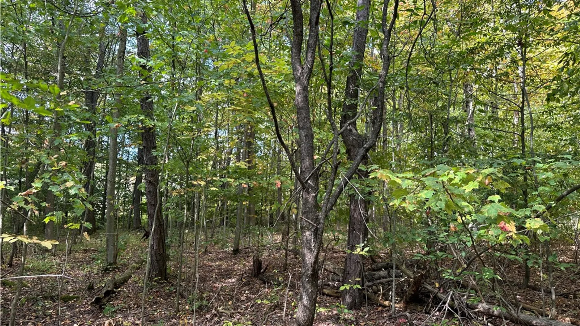 Property at Lot 9 McAndrews Rd, Alfred, NY 14806 12
