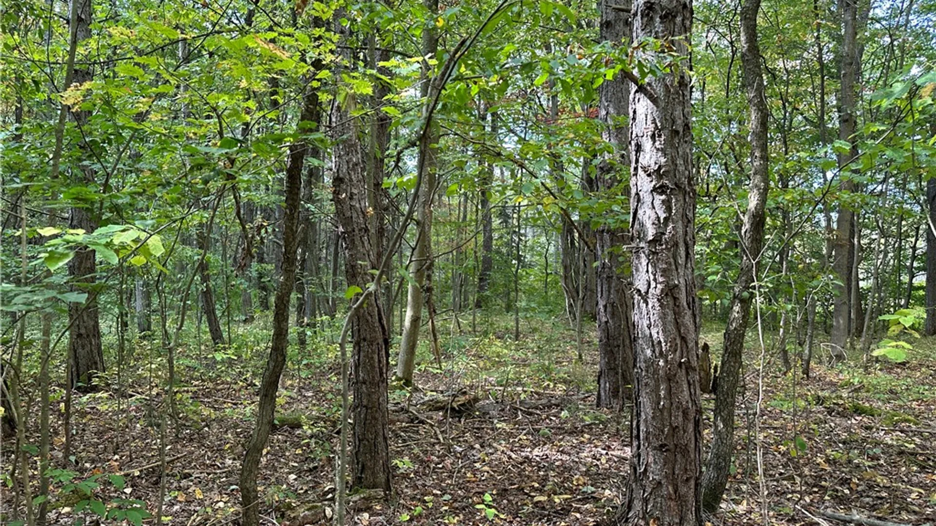 Property at Lot 9 McAndrews Rd, Alfred, NY 14806 13