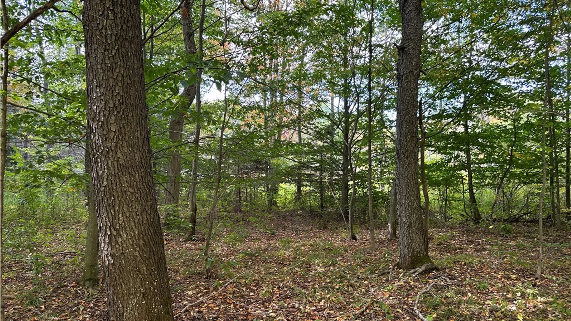 Property at Lot 9 McAndrews Rd, Alfred, NY 14806 14