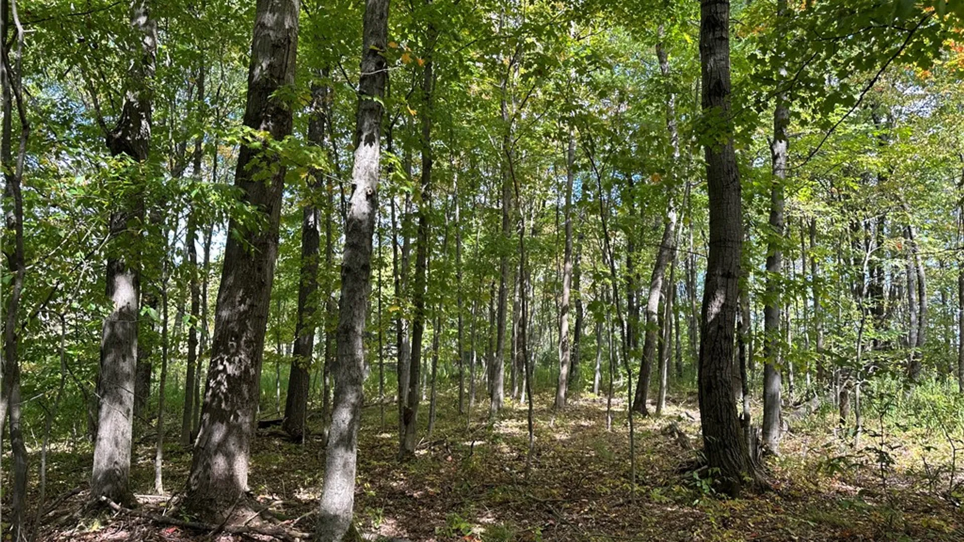 Property at Lot 9 McAndrews Rd, Alfred, NY 14806 15