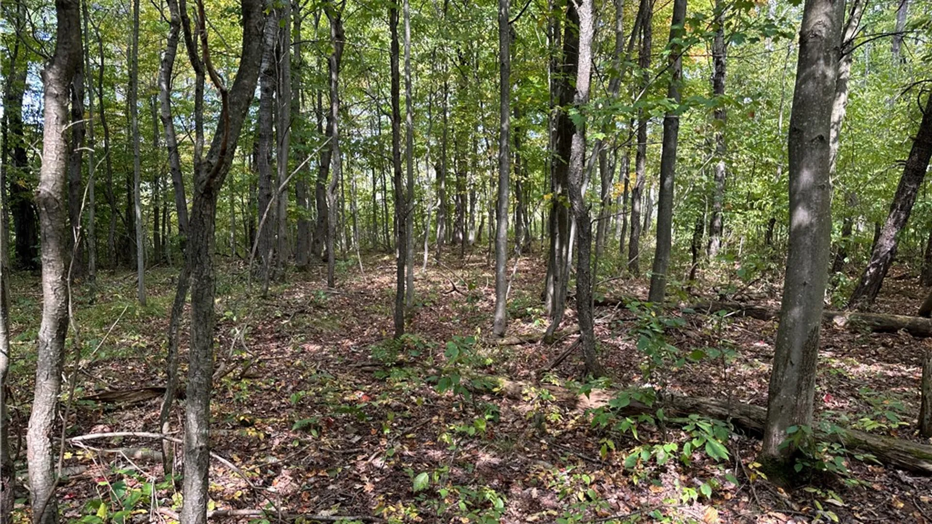 Property at Lot 9 McAndrews Rd, Alfred, NY 14806 18