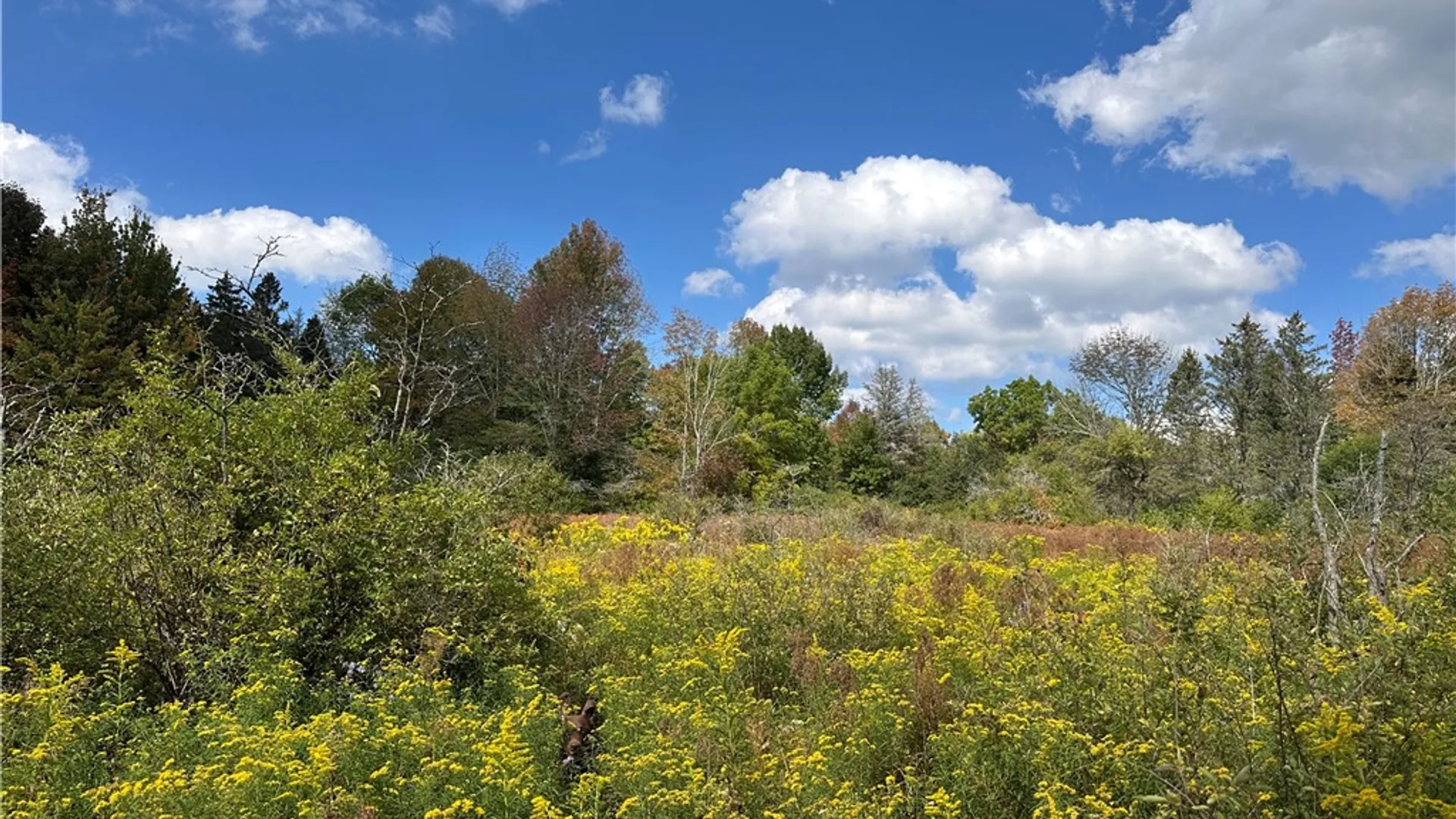 Property at Lot 9 McAndrews Rd, Alfred, NY 14806 19