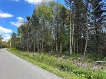 Lot 9 McAndrews Rd, Alfred, NY 14806